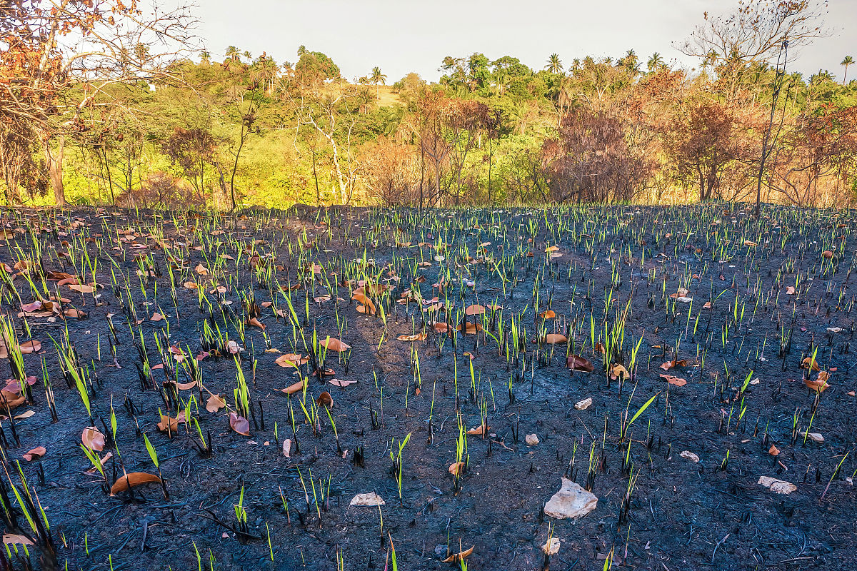 流产的痛：一个女人的挣扎与重生