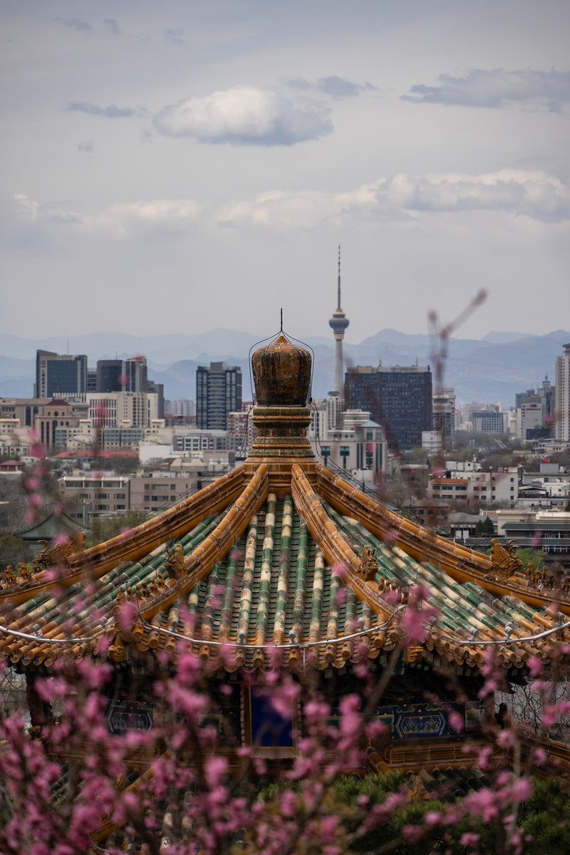 北京商务科技学校会计专业怎么样？| 就业前景、师资力量、学习氛围全面解析