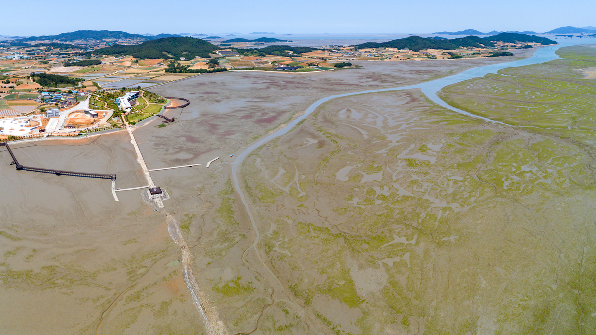 萧山海岸线围垦工程代表项目：萧山湾、石浦、高桥