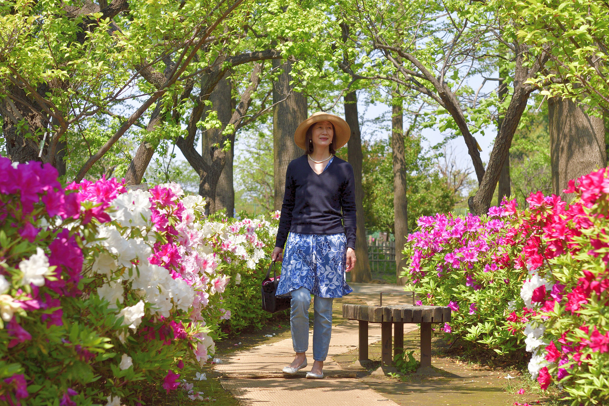 japanese woman enjoying azalea flowers in full bloom at public p