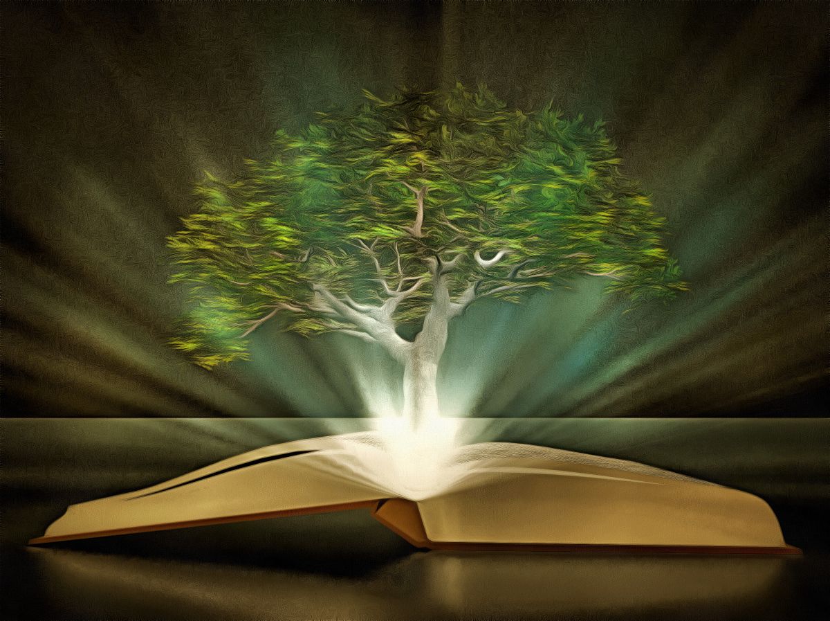 写一段3000字的《当呼吸化为空气》的读书感悟