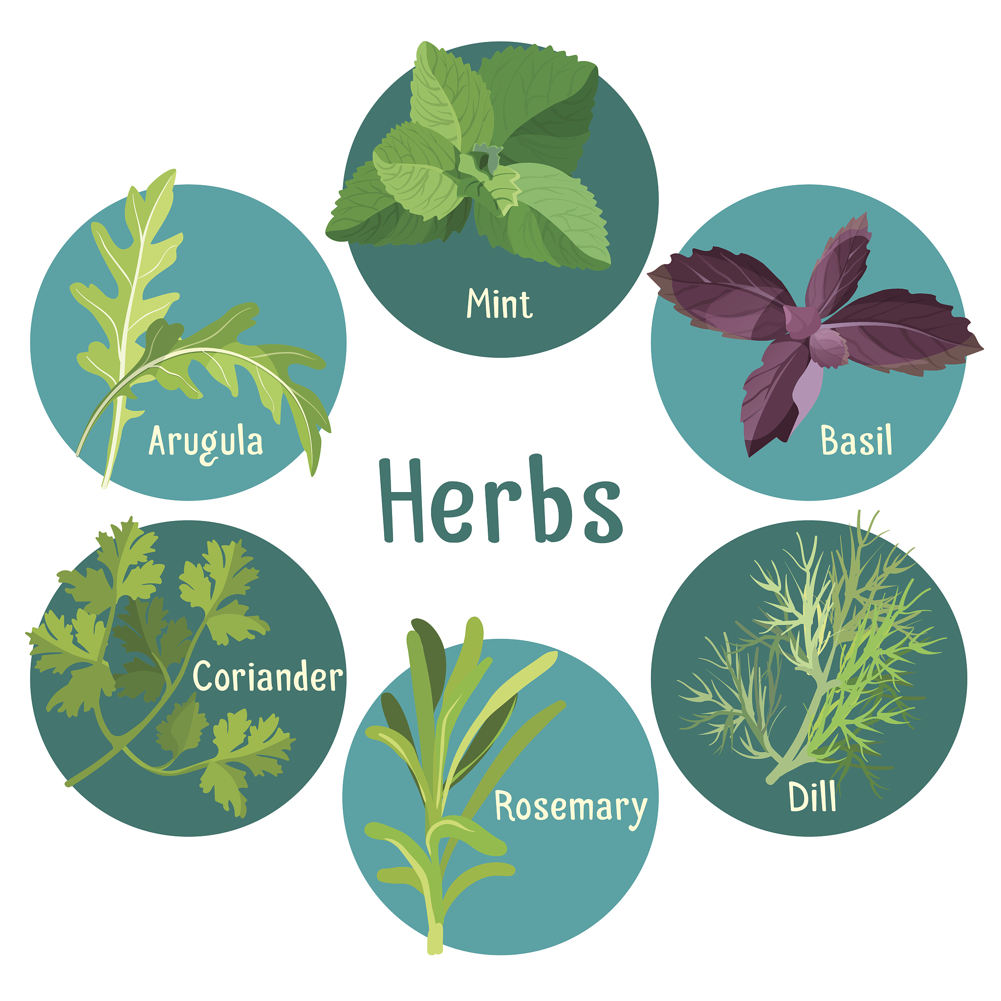 A way of thinking that believed humans should live in harmony and nature