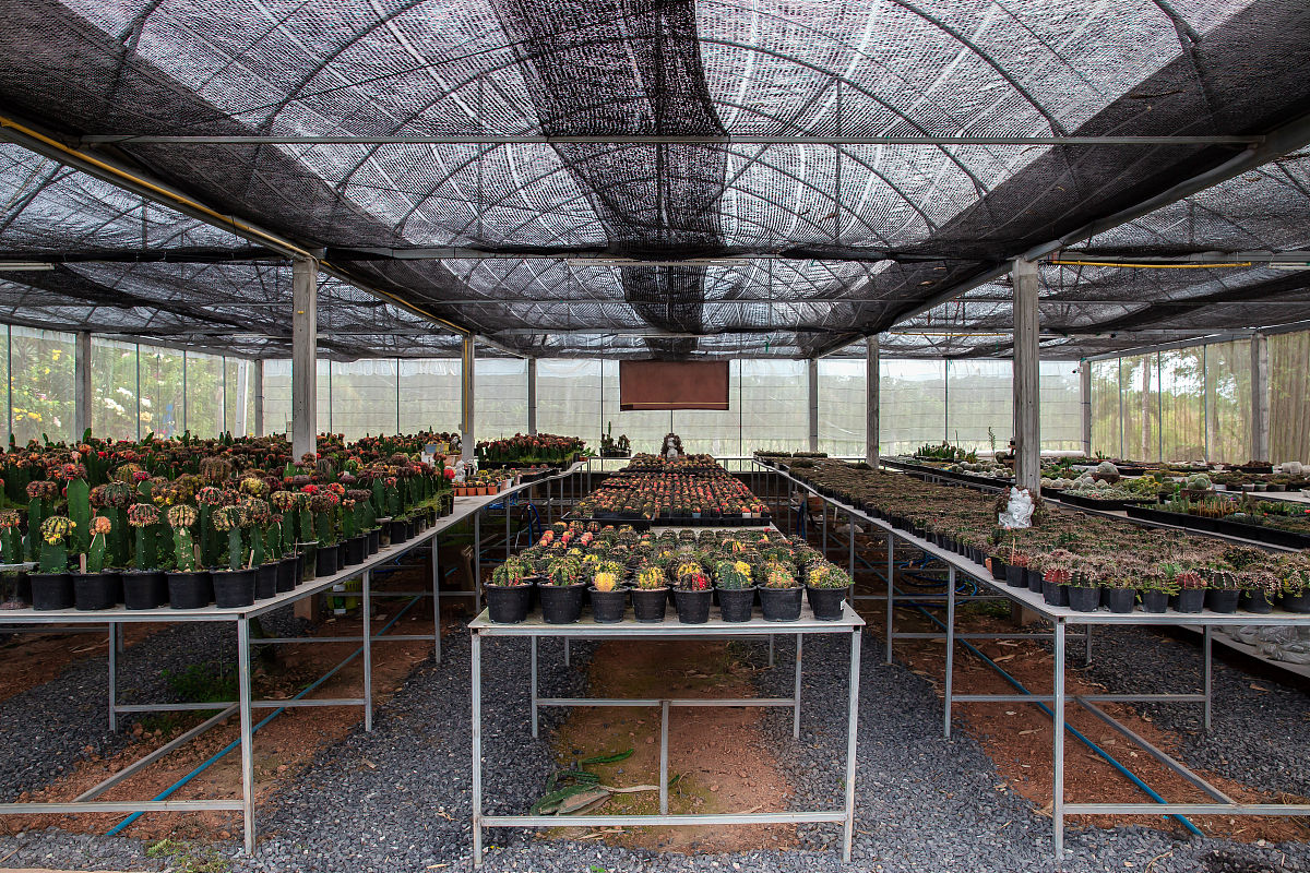 陕西中专学校招生条件：分数、考试、身体要求等