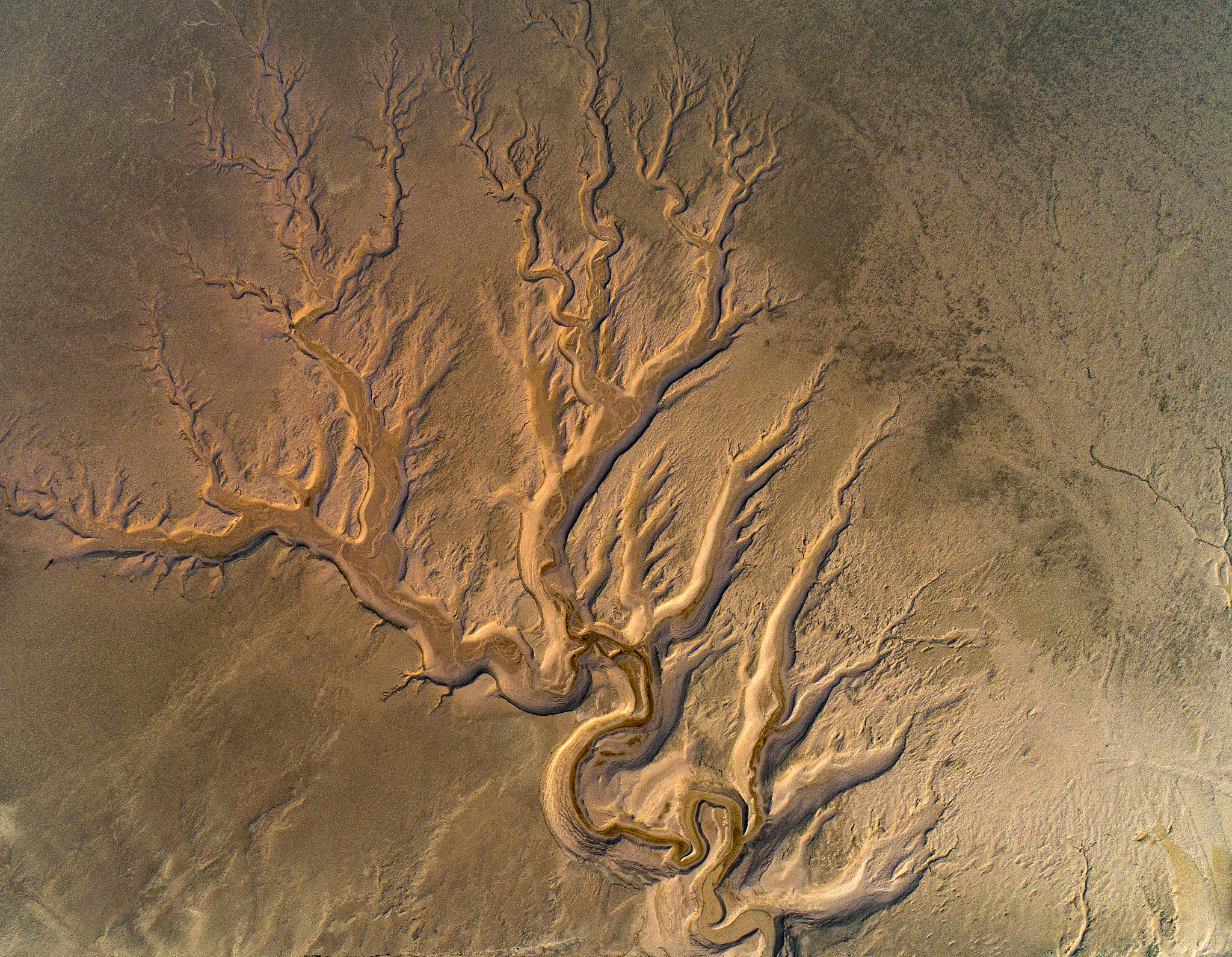 盐城大学地址：盐城市盐都区文昌中路9号