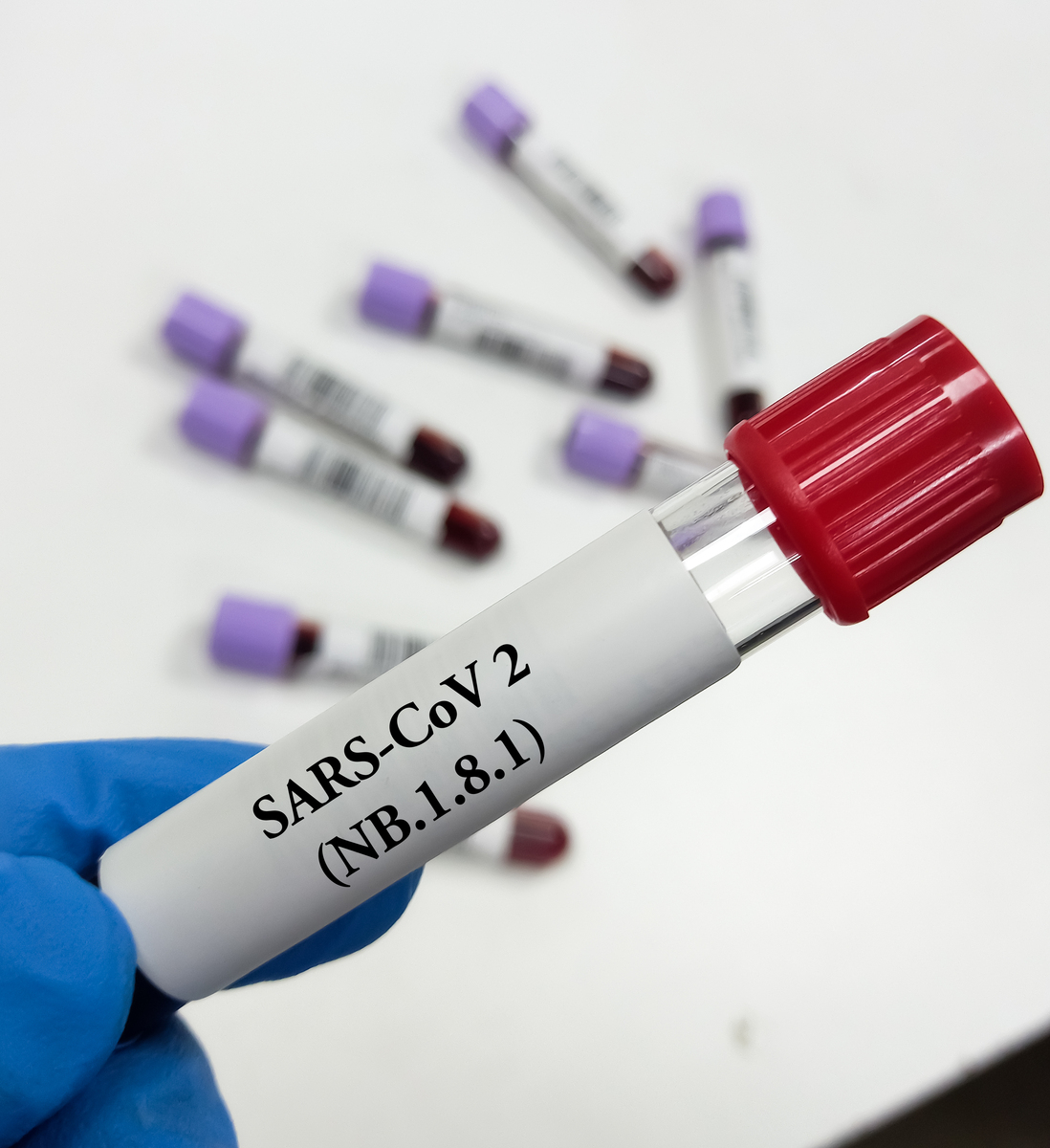 请写一篇关于RAY-1216和3CL蛋白酶结合模式的5000字综述