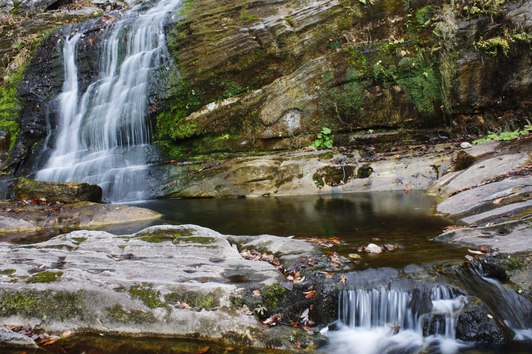 贵州省旅游学校招生专业有哪些？