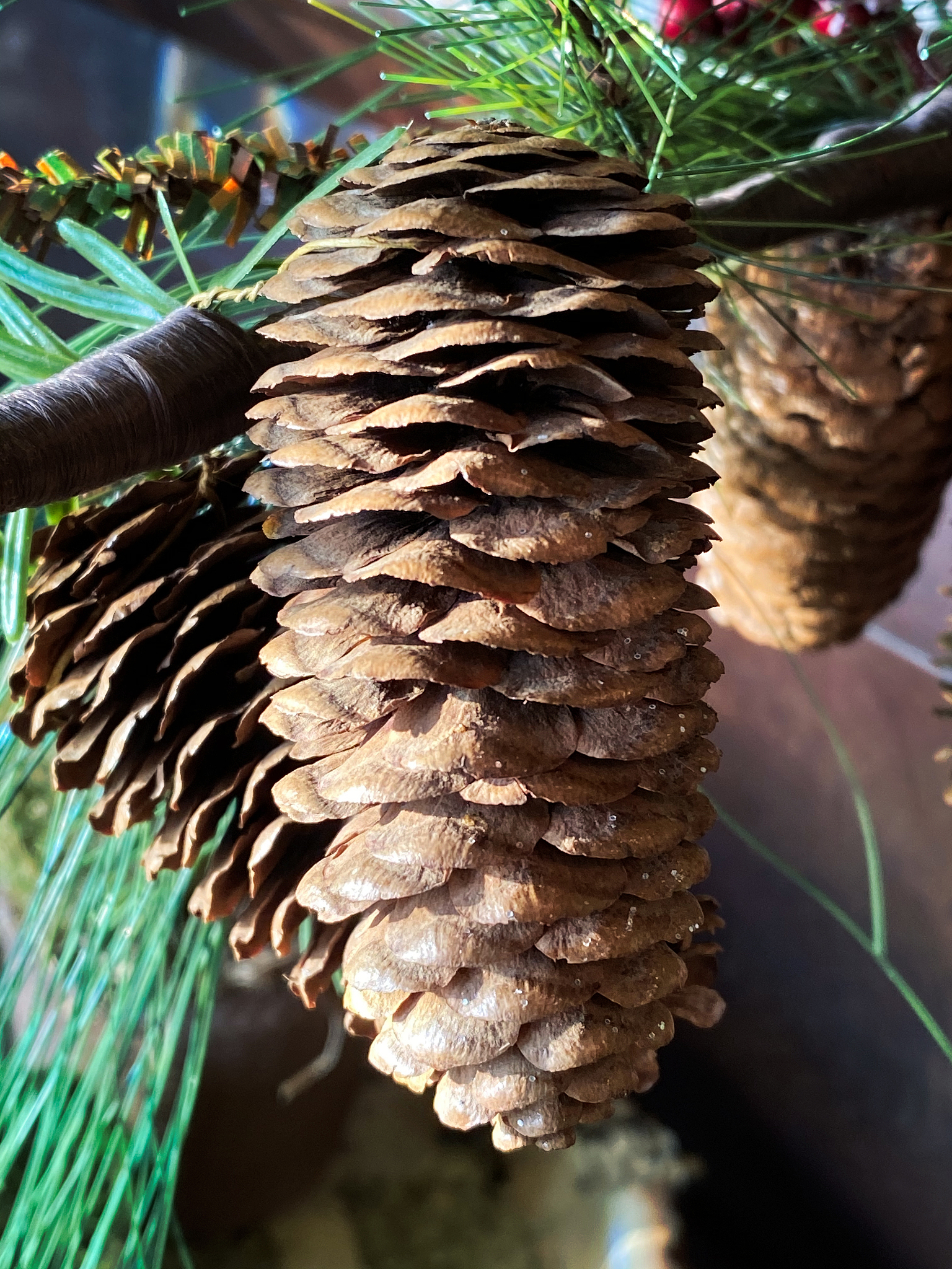 皖西卫生职业学院中药专业怎么样？教学质量、就业前景及未来发展