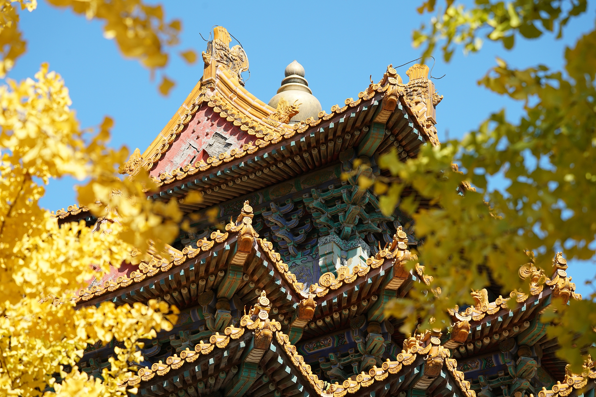 四川省旅游学校开设专业