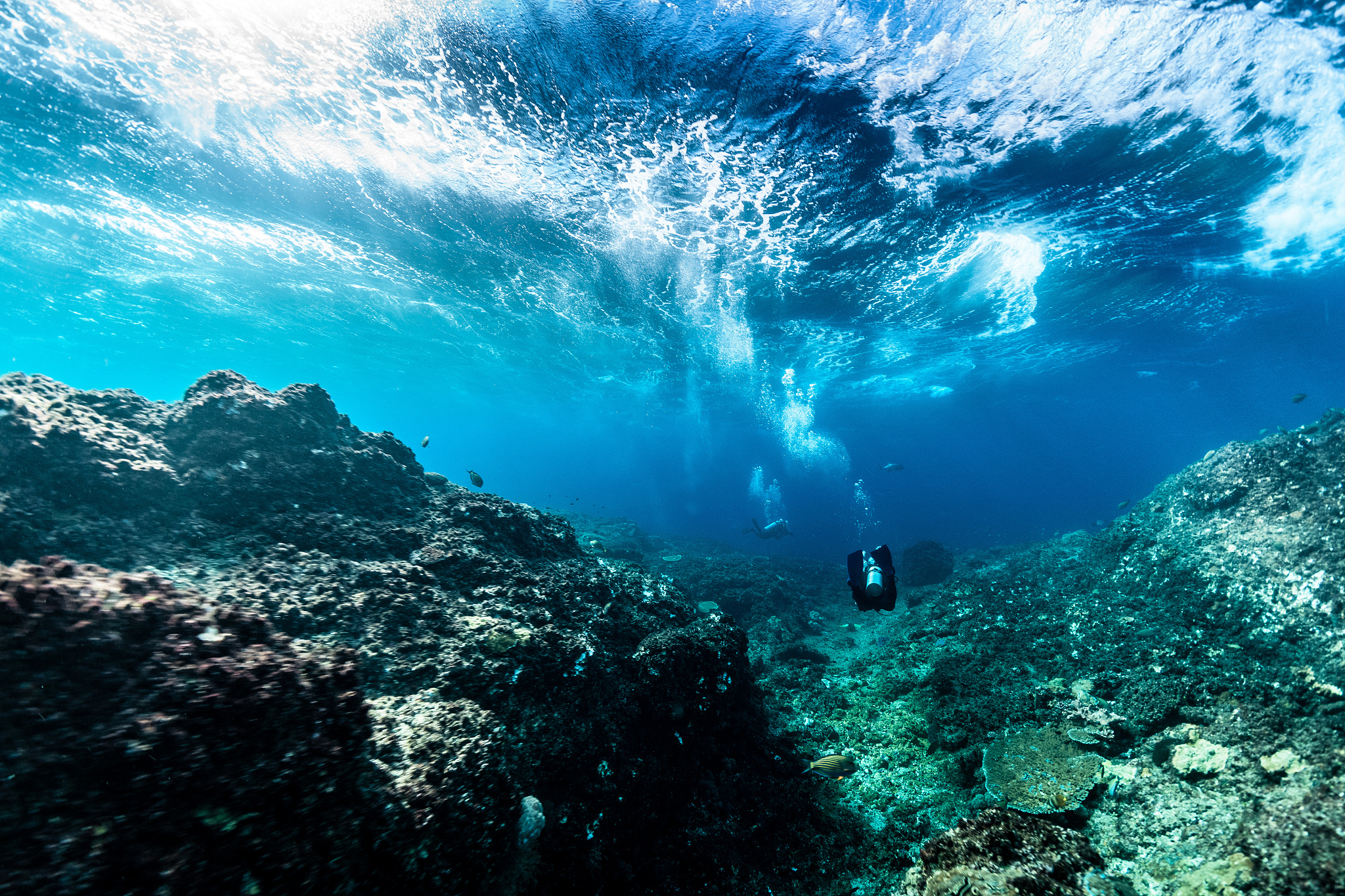 person swimming in sea