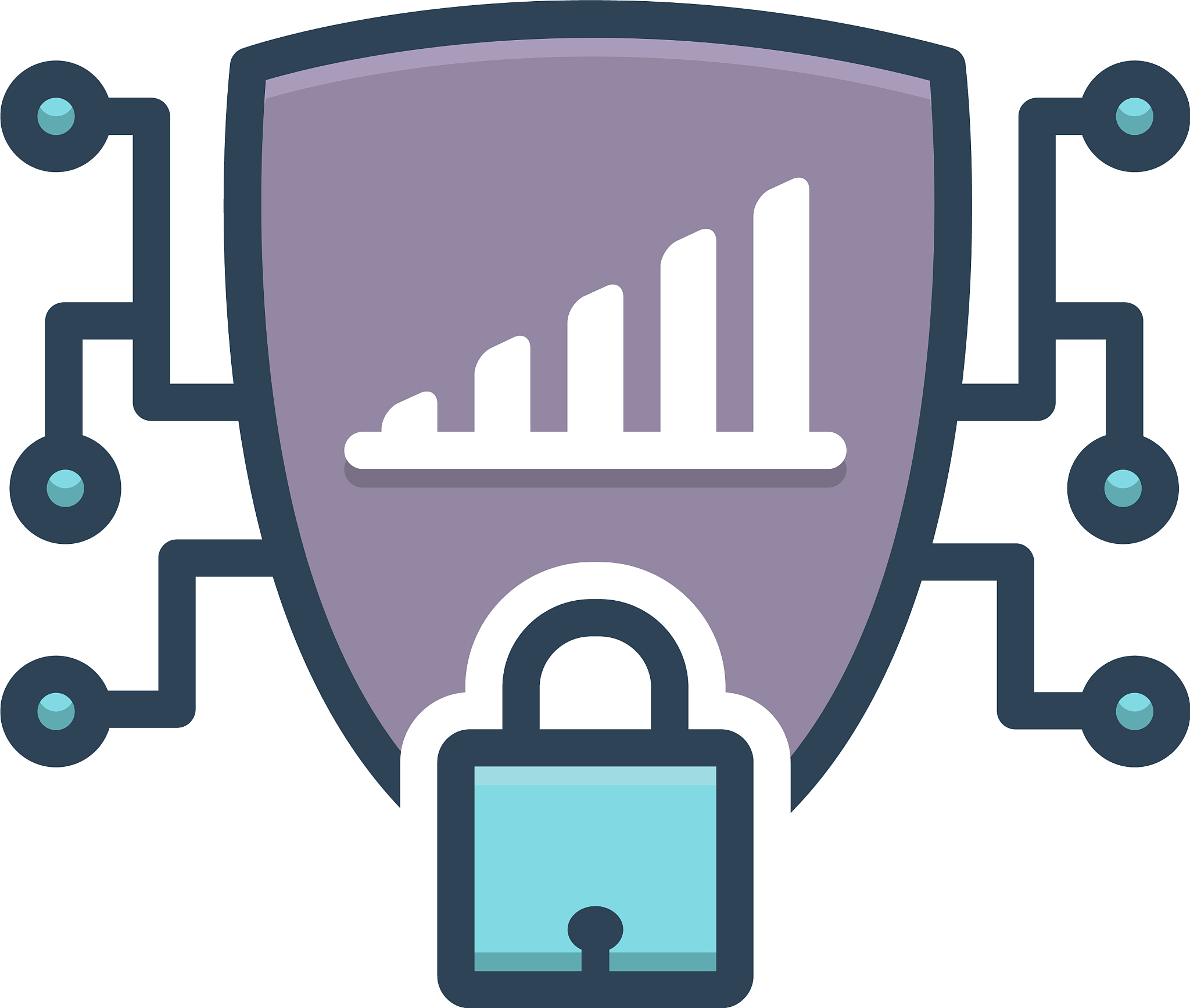 network protection