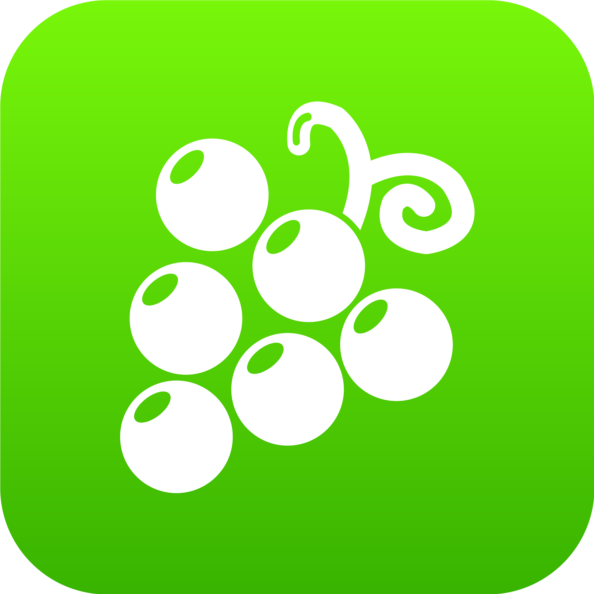 grapes icon green