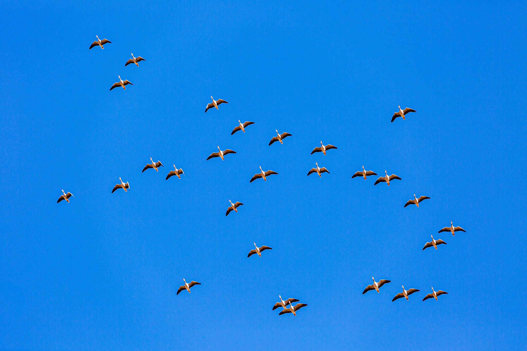 曲靖农业学校2019年五年制大专新增招生专业