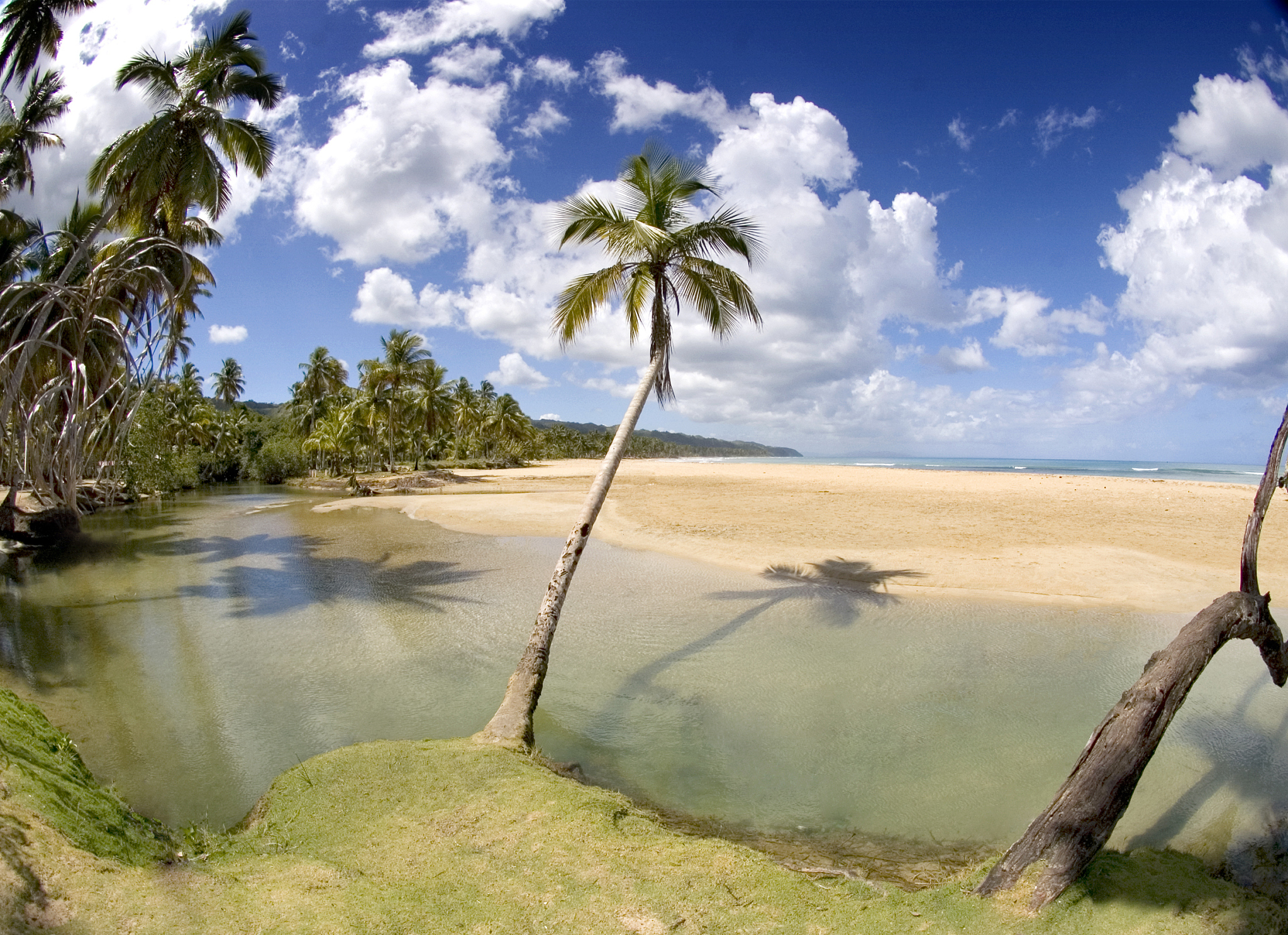 cos(a/2) 半角公式：详细推导和应用场景