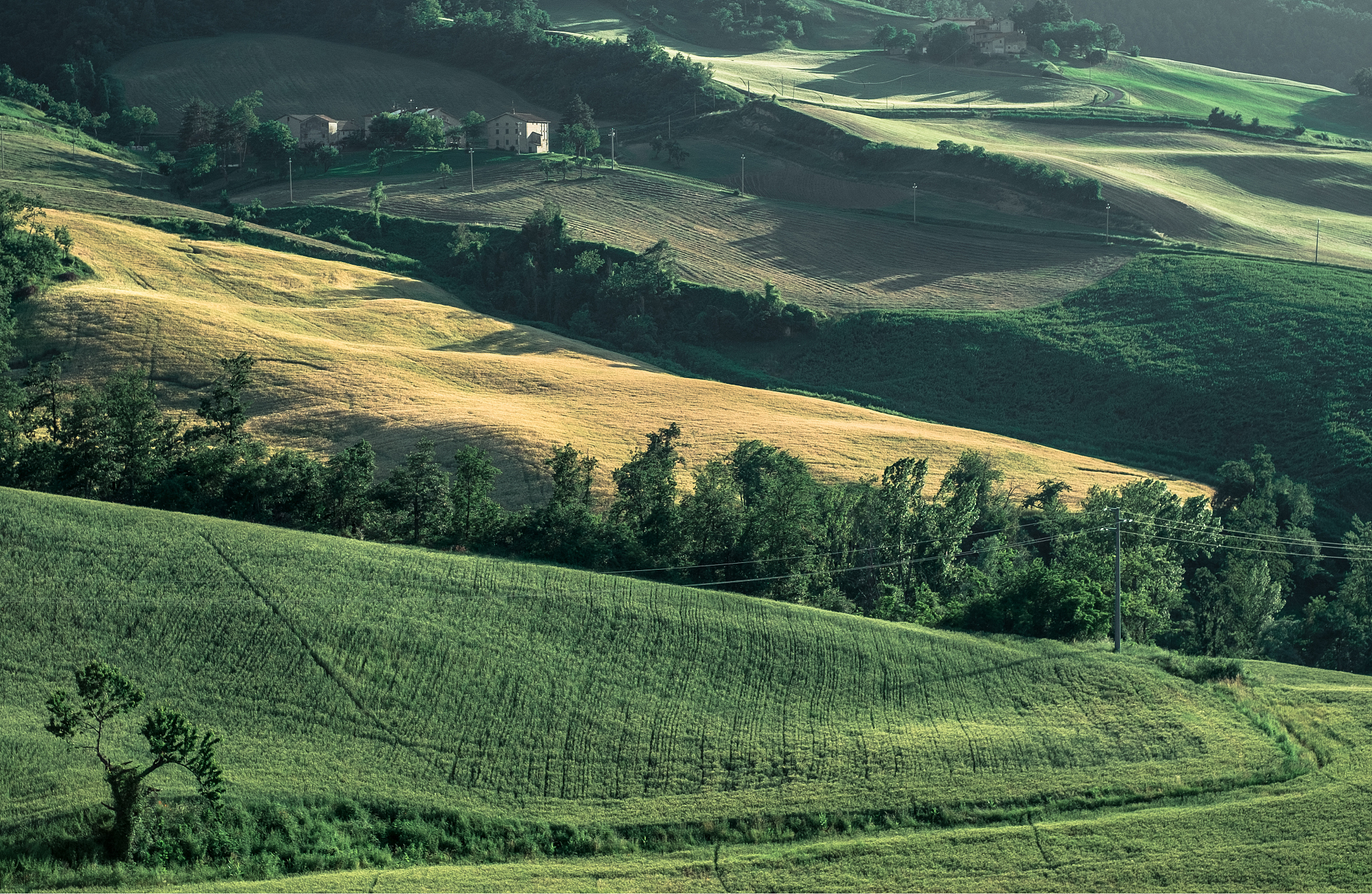 bologna province countryside in summertime.
