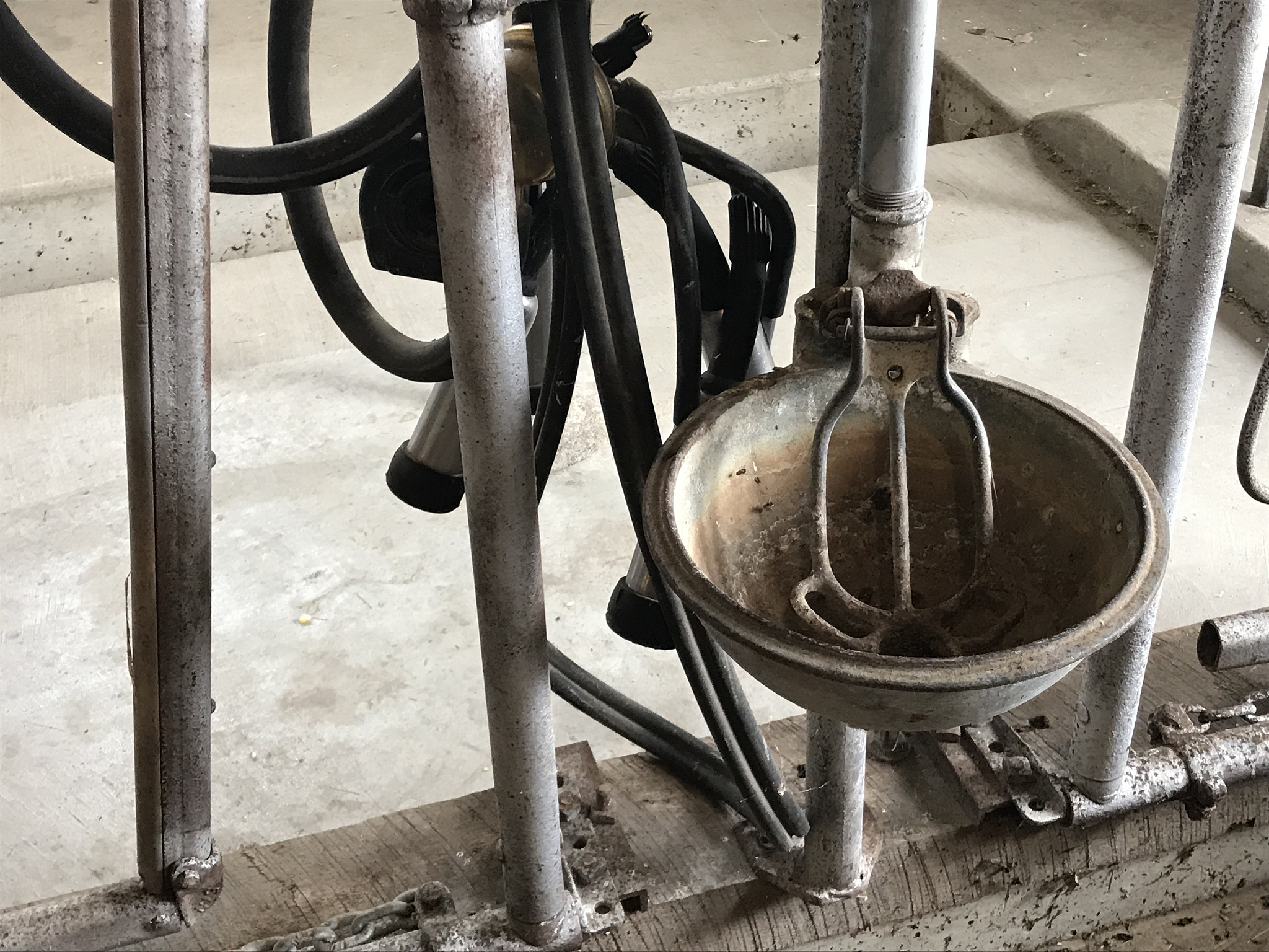 绞肉机发展史：从手动到电动，探寻厨房利器的进化历程