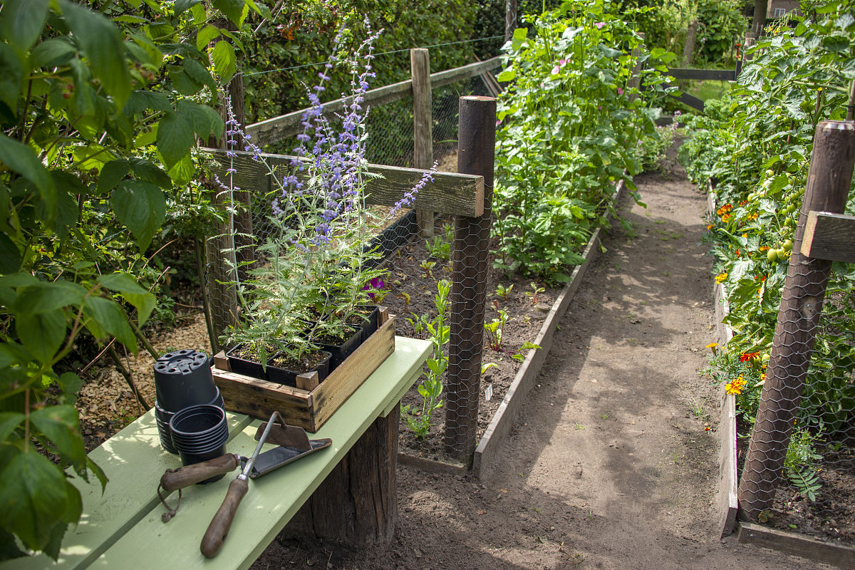 Horticulturae 期刊：探索园艺学研究的深度和广度