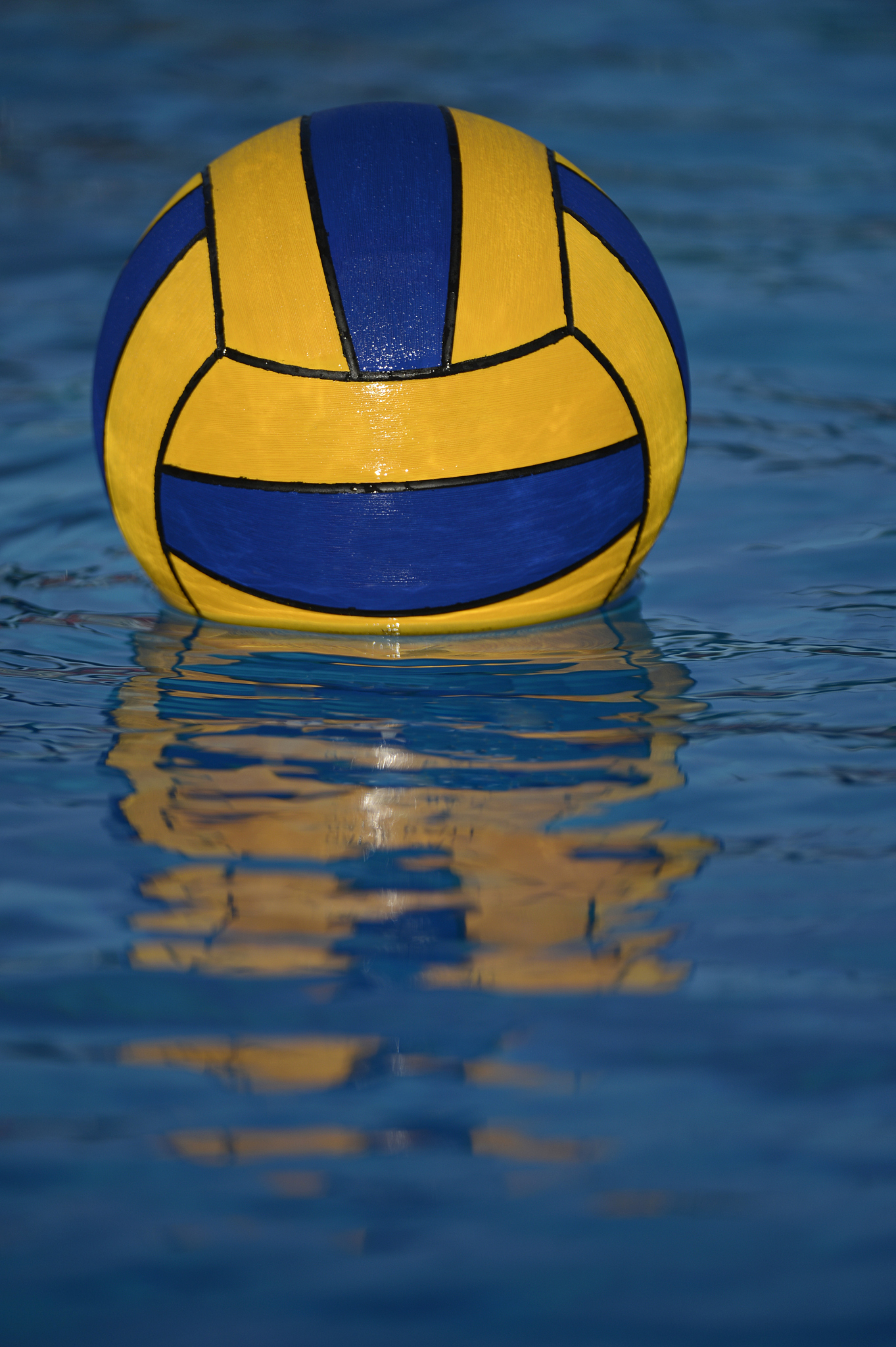 water polo ball