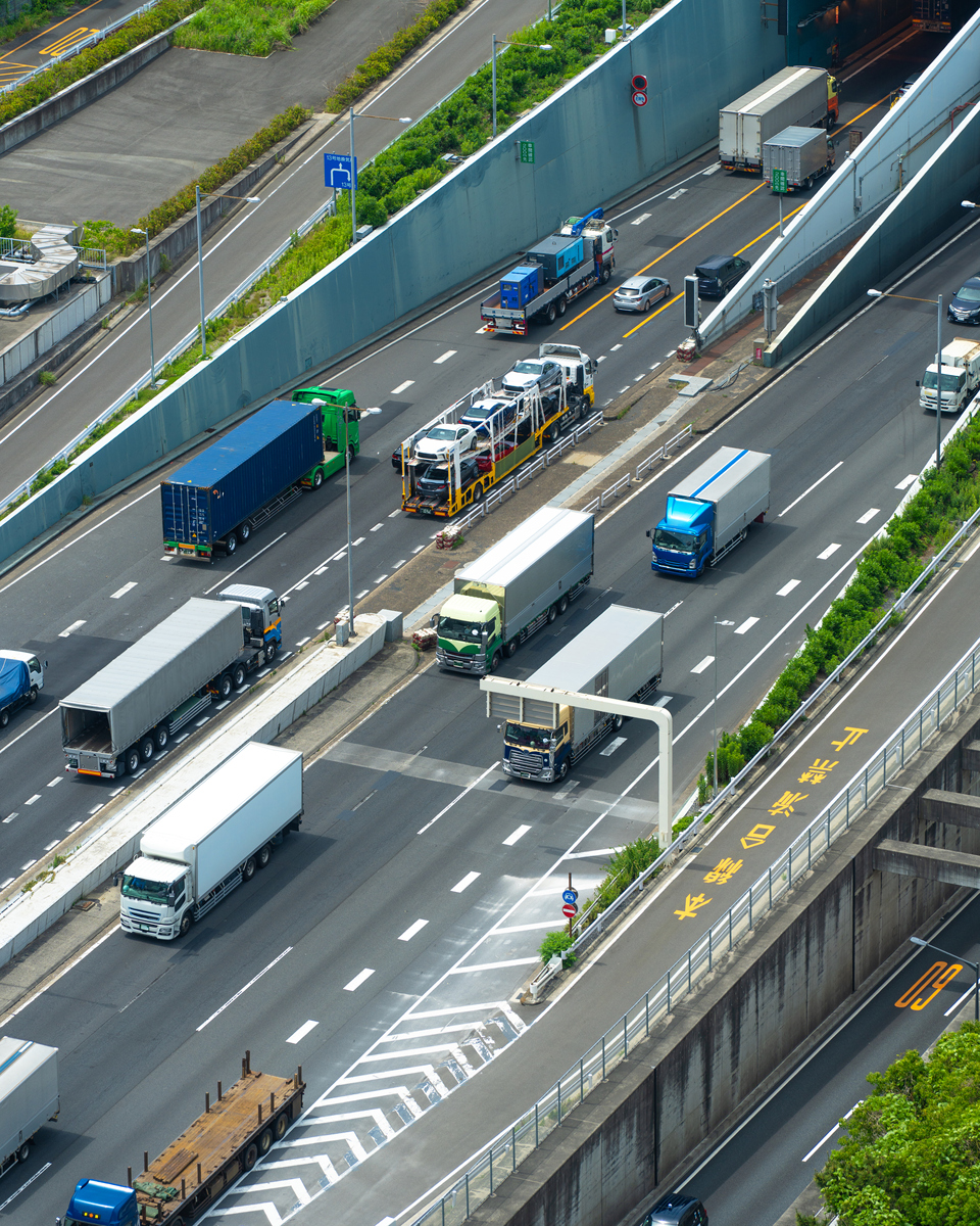 Is Free Public Transport the Solution to Traffic Congestion?