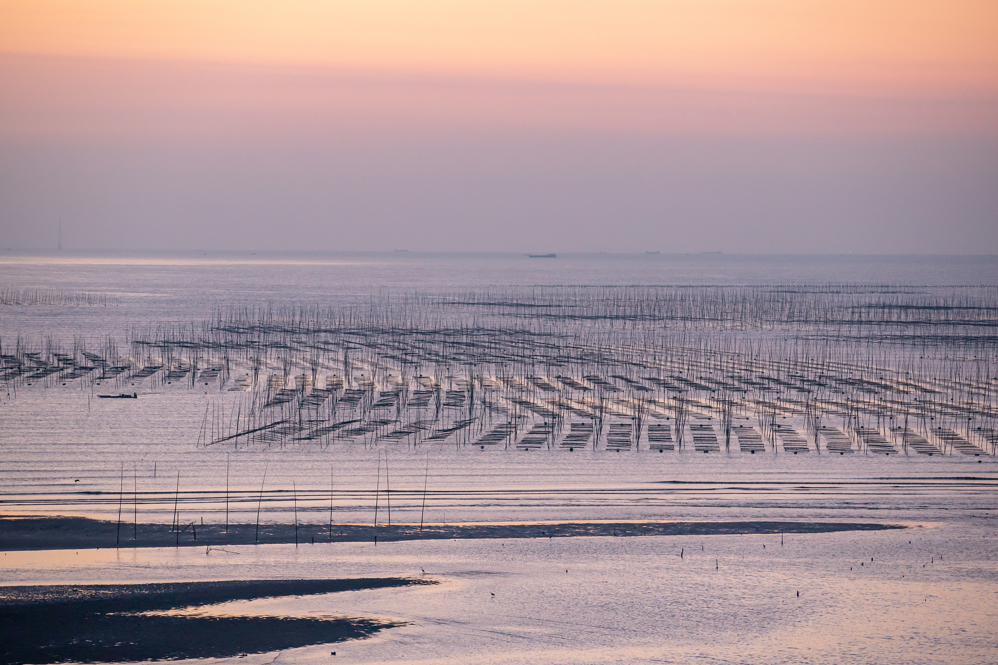 中考满分作文：晨曦之舞 - 500字优美意象