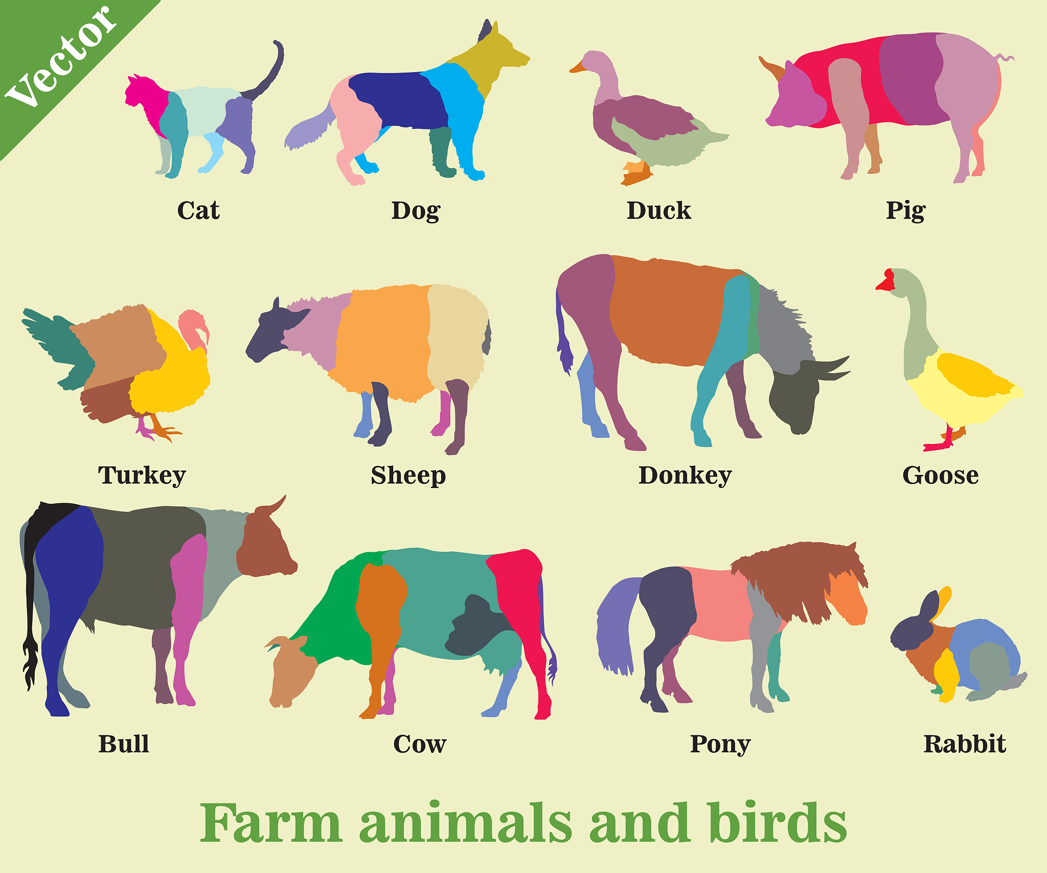 Animal Metaphors for Women: Meanings & Usage