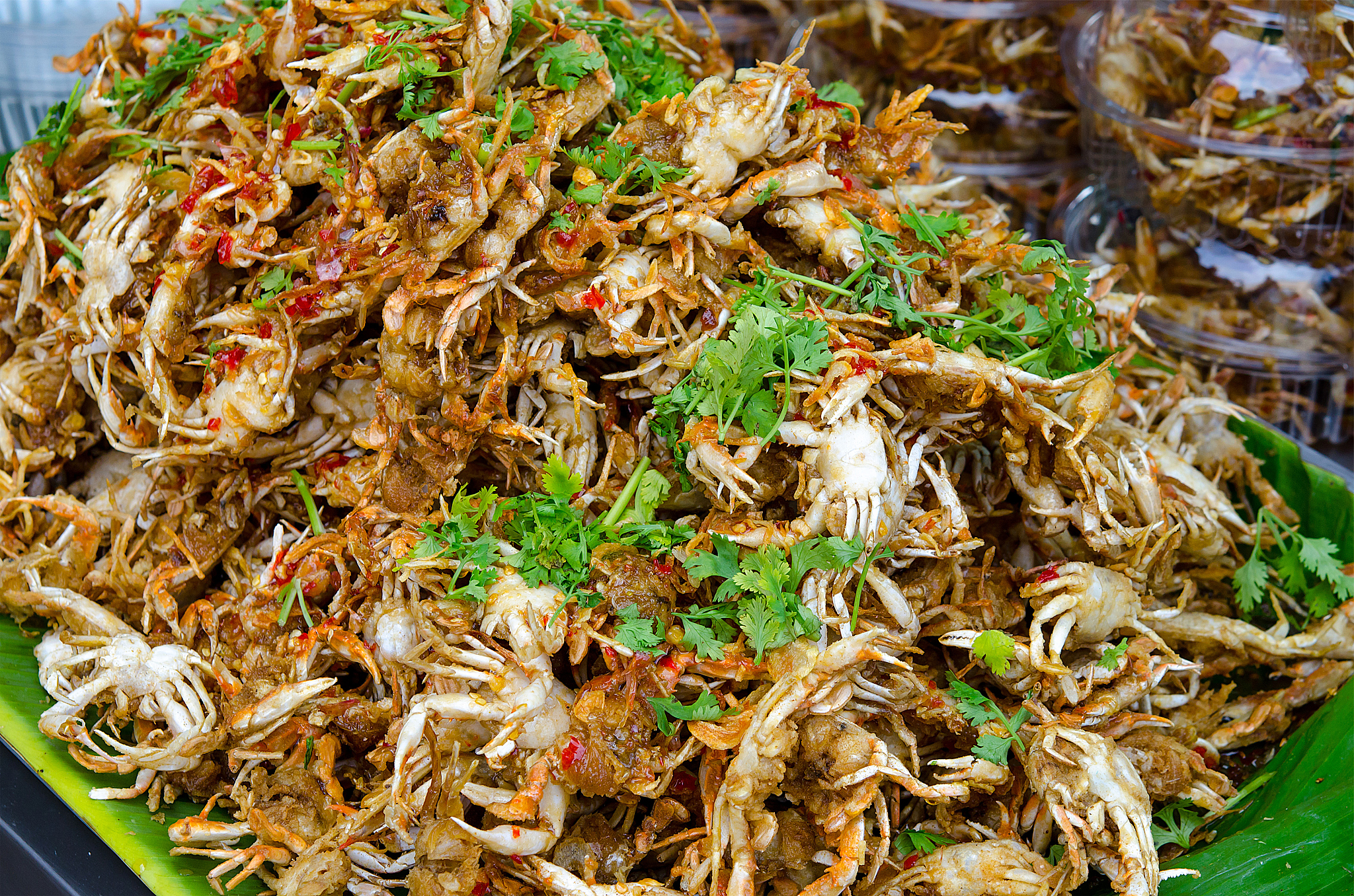 以江苏的饮食文化为题写一篇600词左右的英语作文