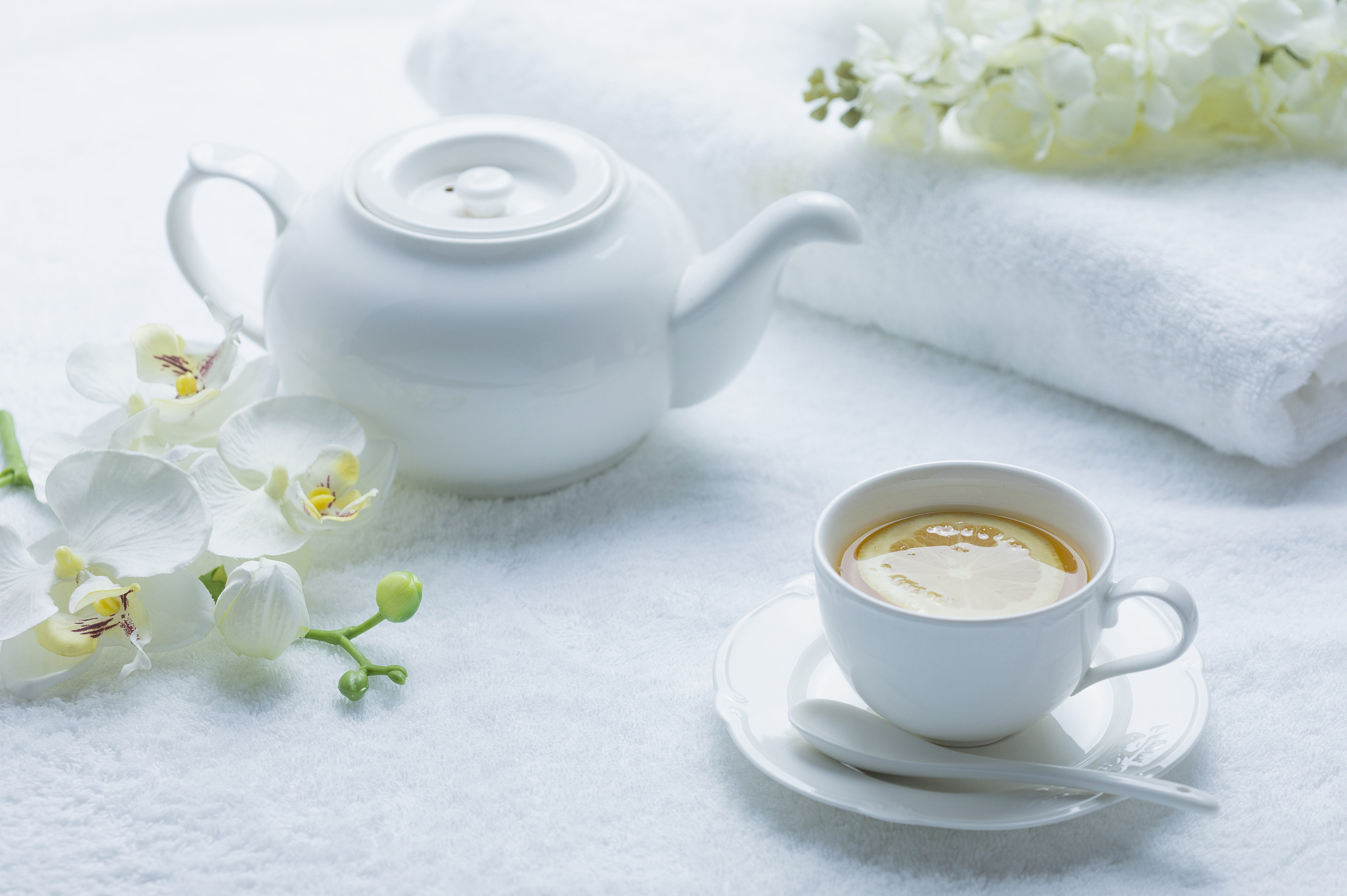 国珍红茶和水果茶的对比哪个更适合冰饮？