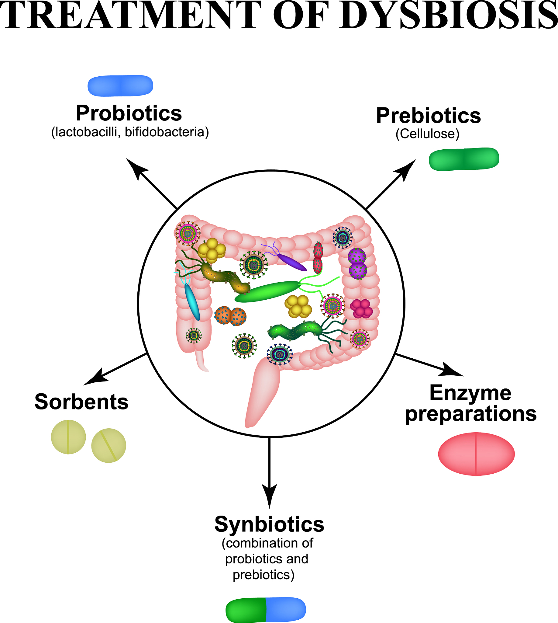 饭后排便更健康：为什么饭后排便对身体更好？