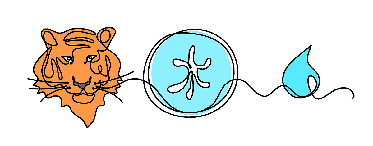 抽象色虎的剪影,以水为元素(风水),象形文字在英文中意为"水",以线条