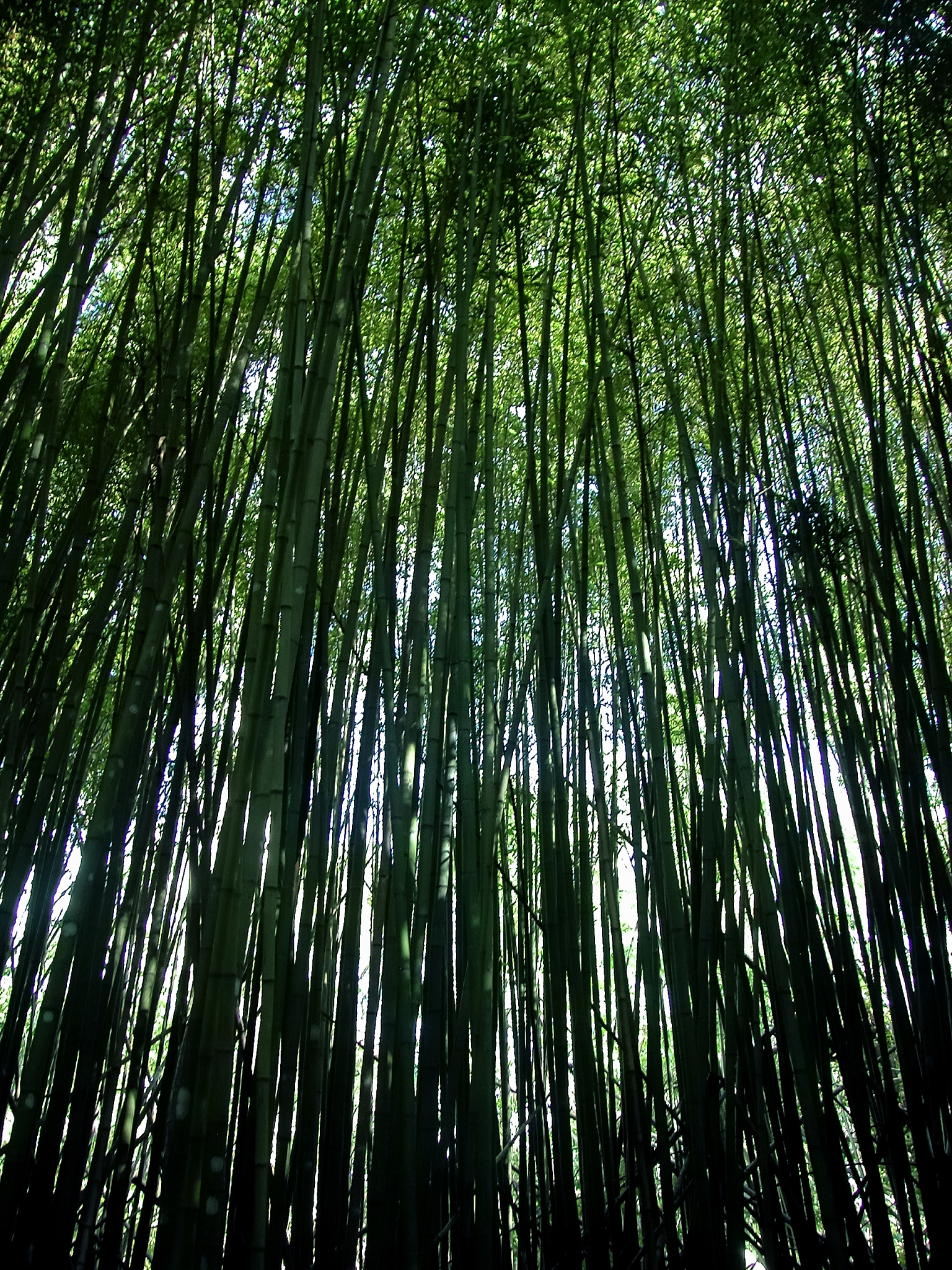 帮我制定一个澳大利亚10天的旅行计划