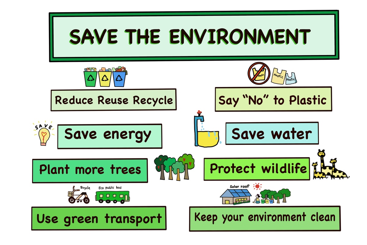 English Word Classification: Machine Learning Algorithms Explained