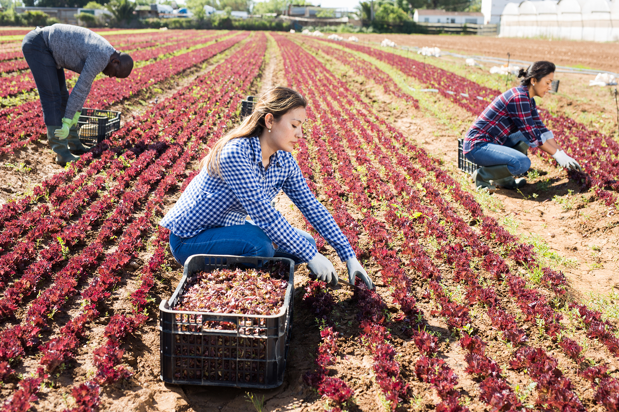 铜仁市中等职业学校2023招生专业有哪些药物制剂专业好不好