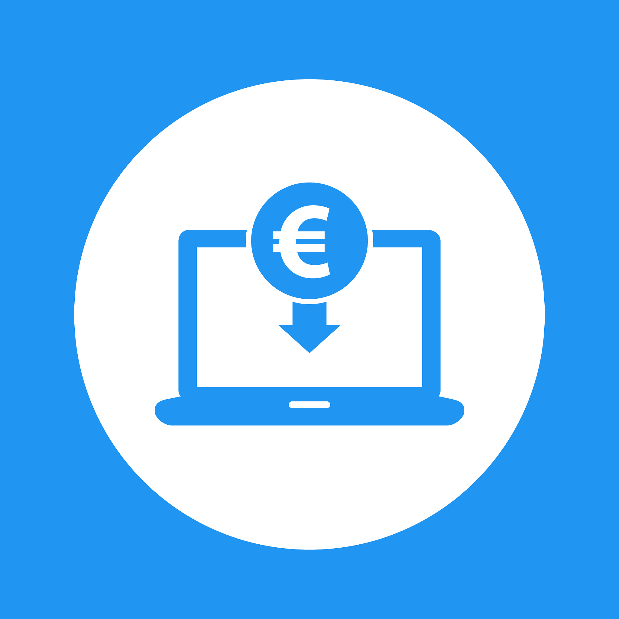 internet banking, payment in euro icon isolated on white
