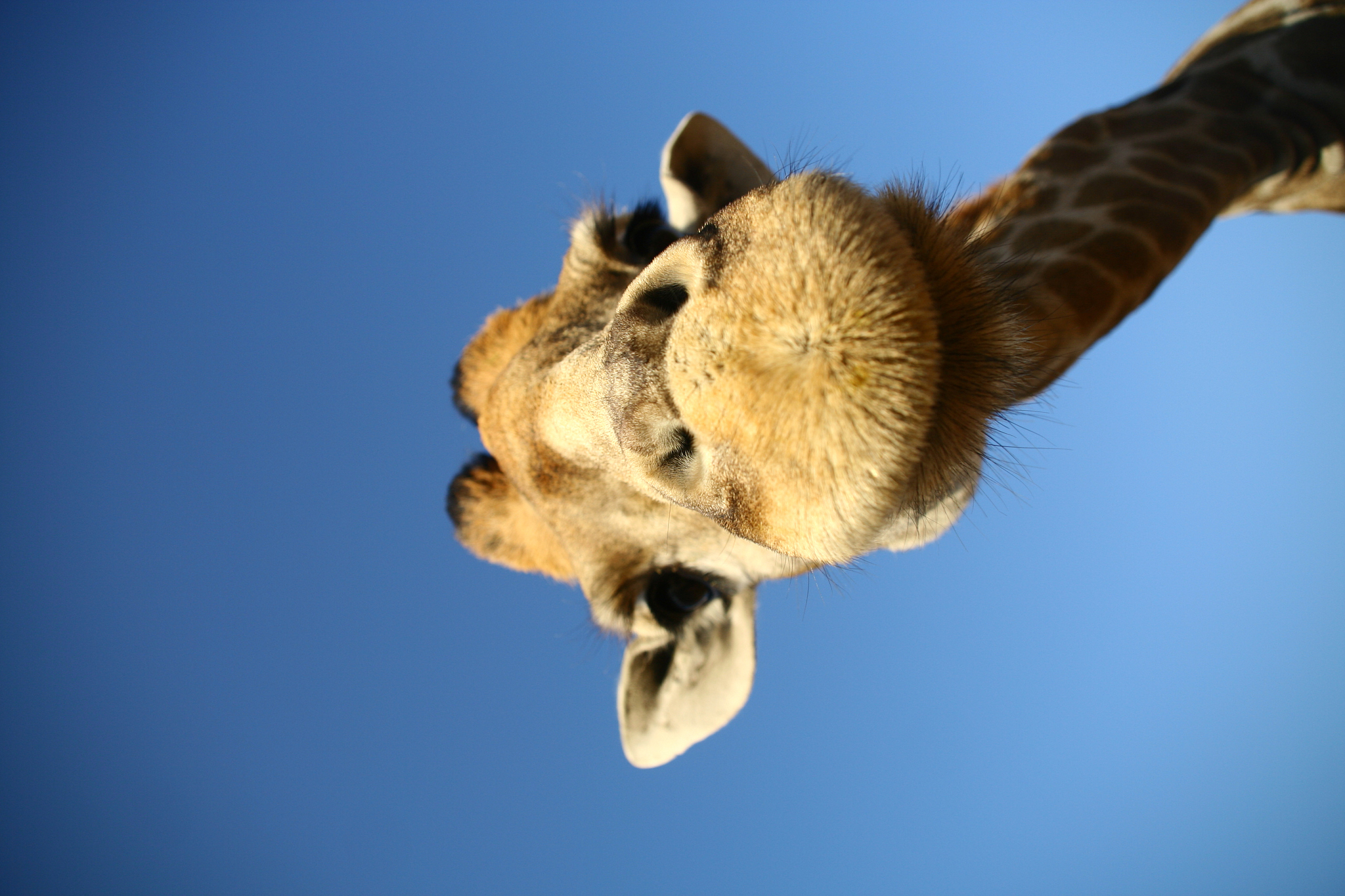 YA字母组合能组成哪些单词？完整列表！