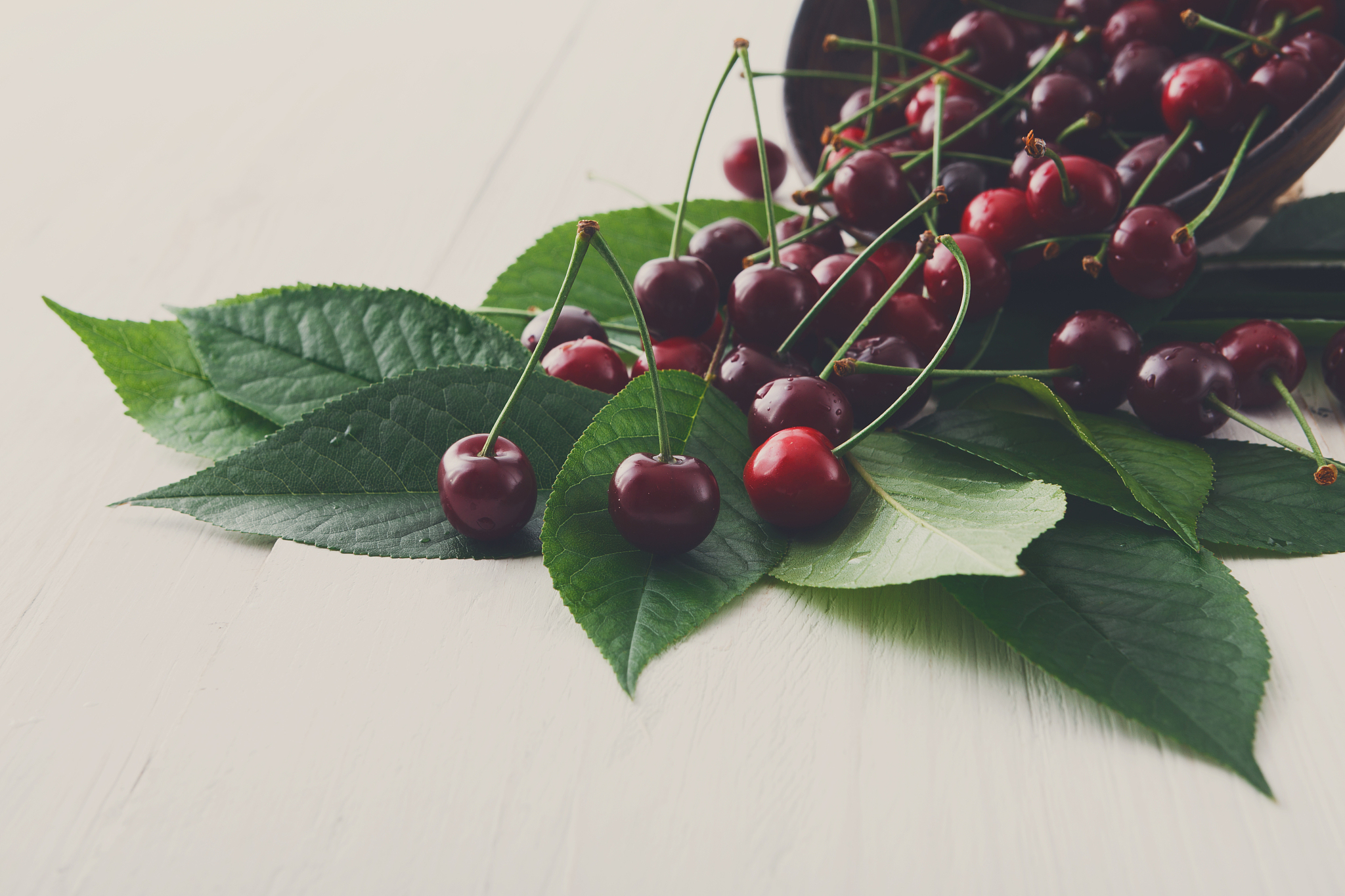 fresh cherries bowl on white wood
