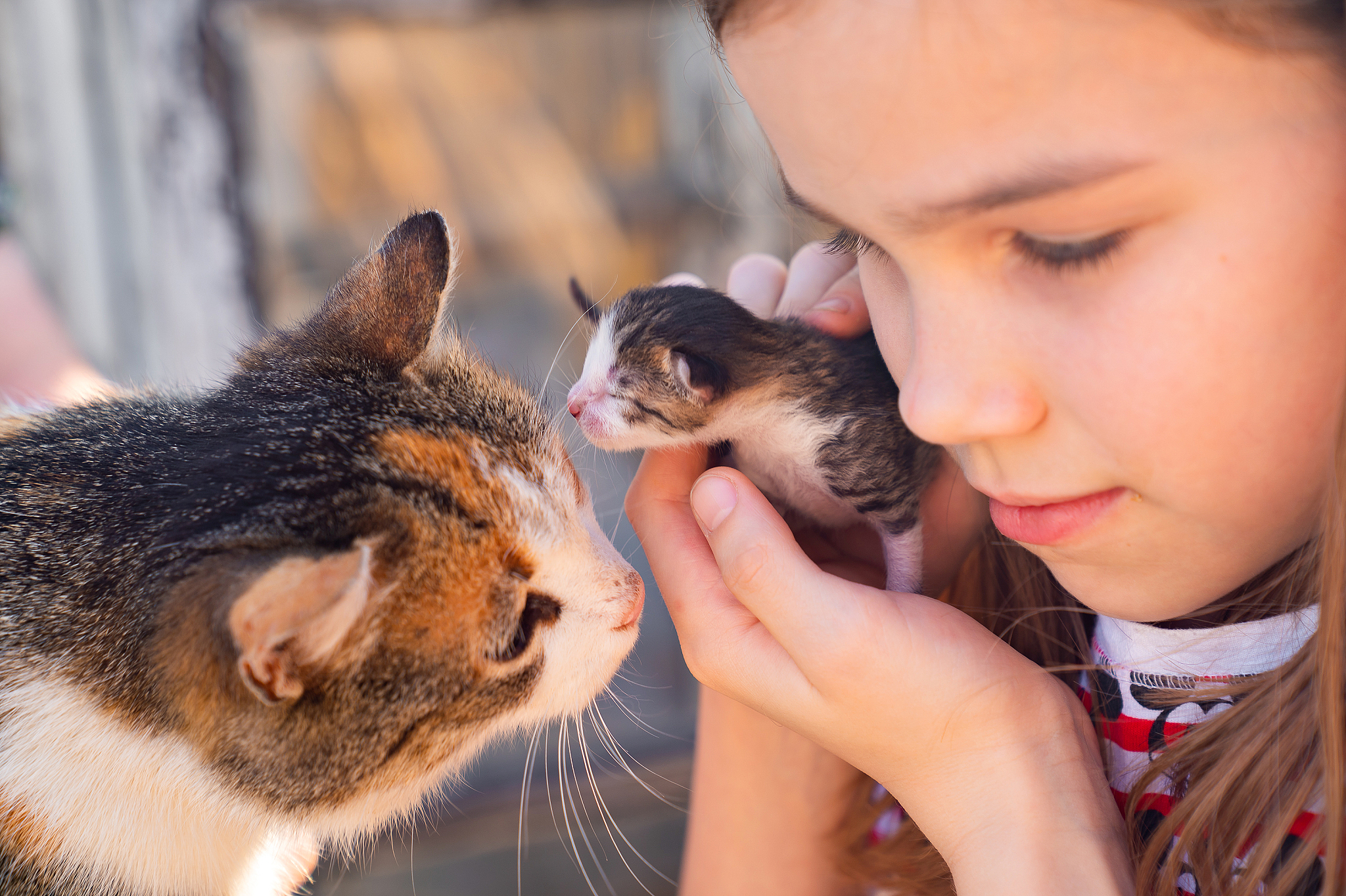 如何手喂养出生时只剩一条的小动物？