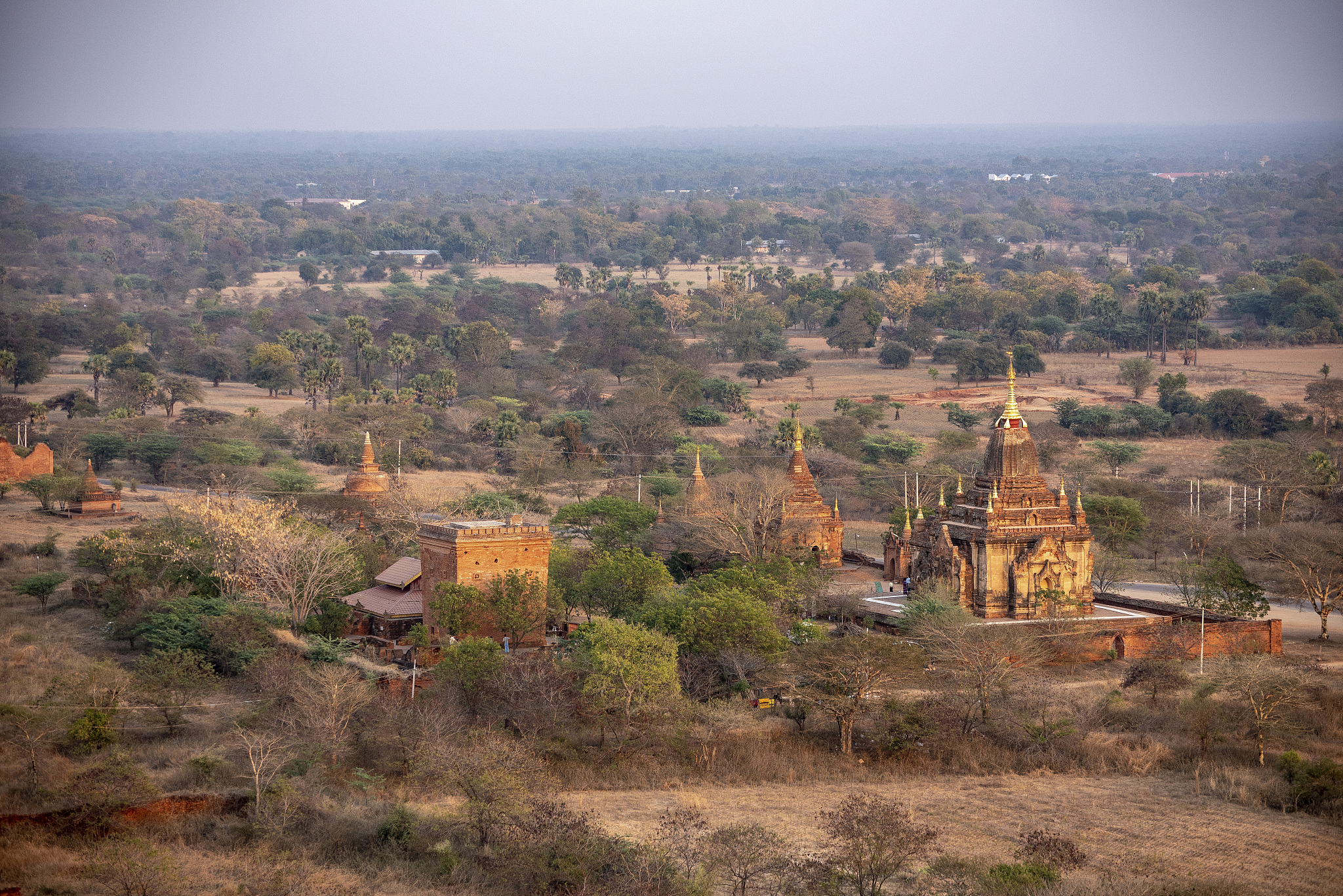 high view of temples to the east on plain of bagan,myanmar.