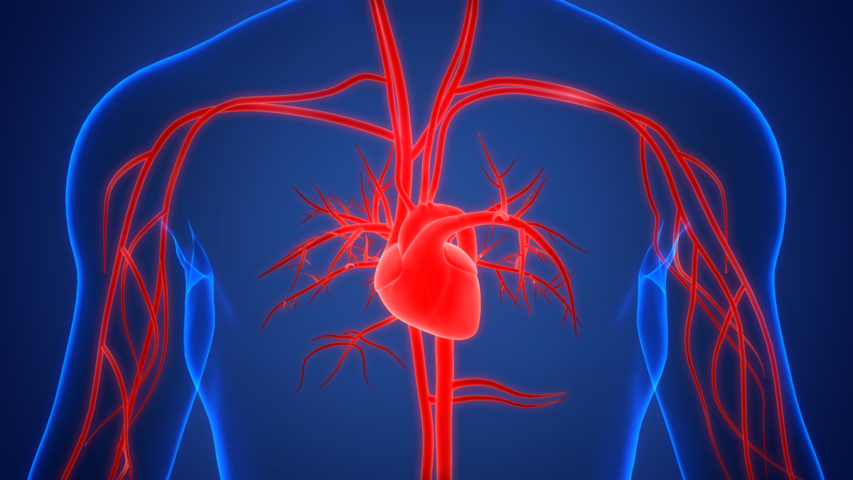 写一篇关于健康教育对冠脉造影术患者焦虑状况的影响的研究意义。