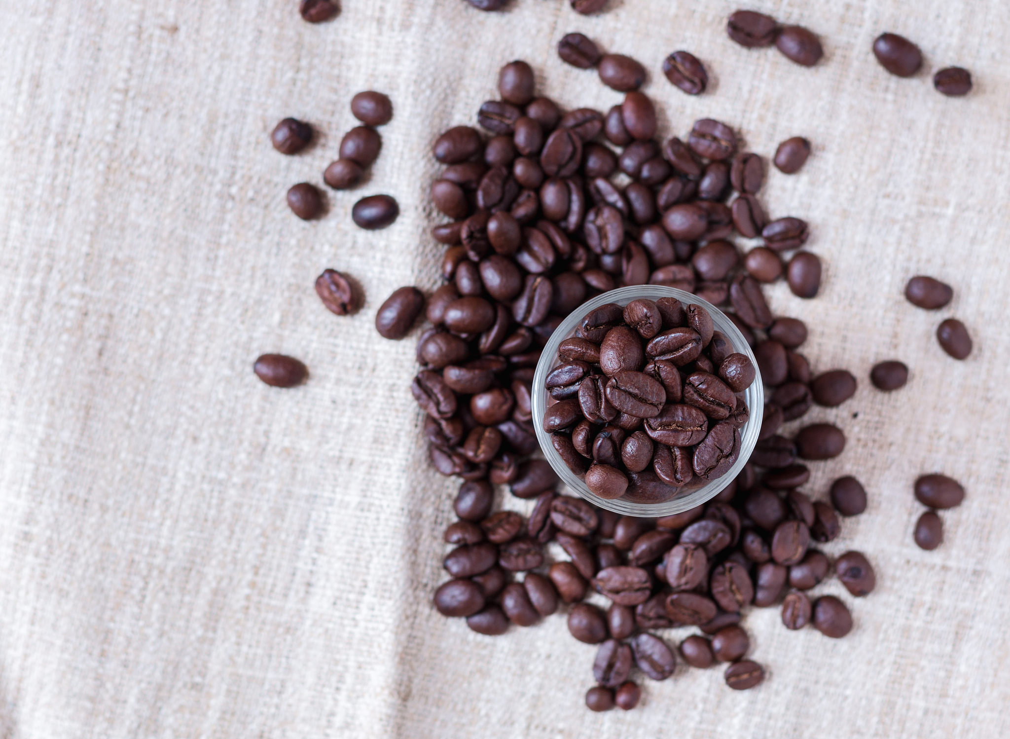 咖啡豆全书：从种植到品鉴，深度探索咖啡世界