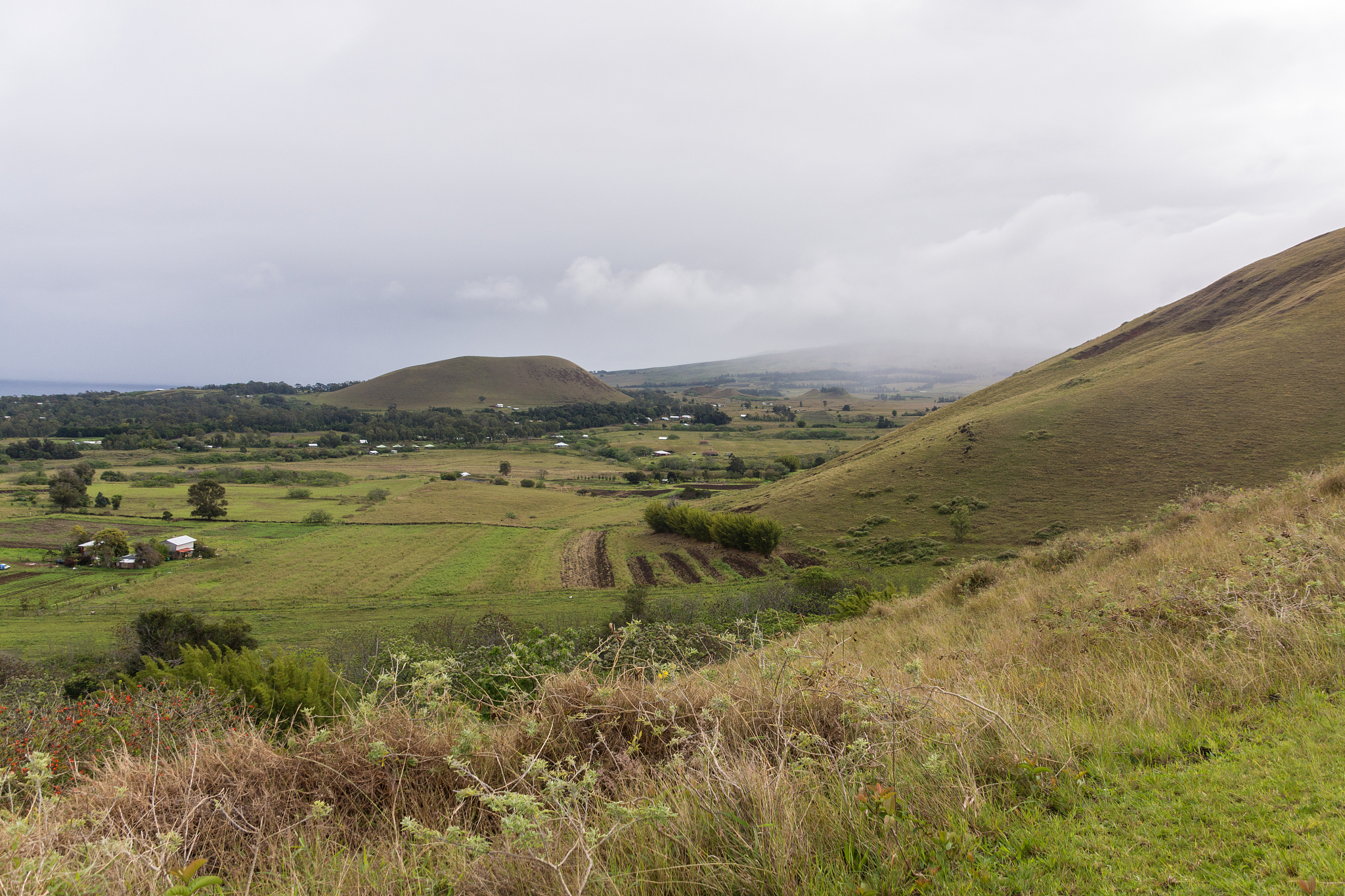 landscape of rapa nui view from puna pau crater.