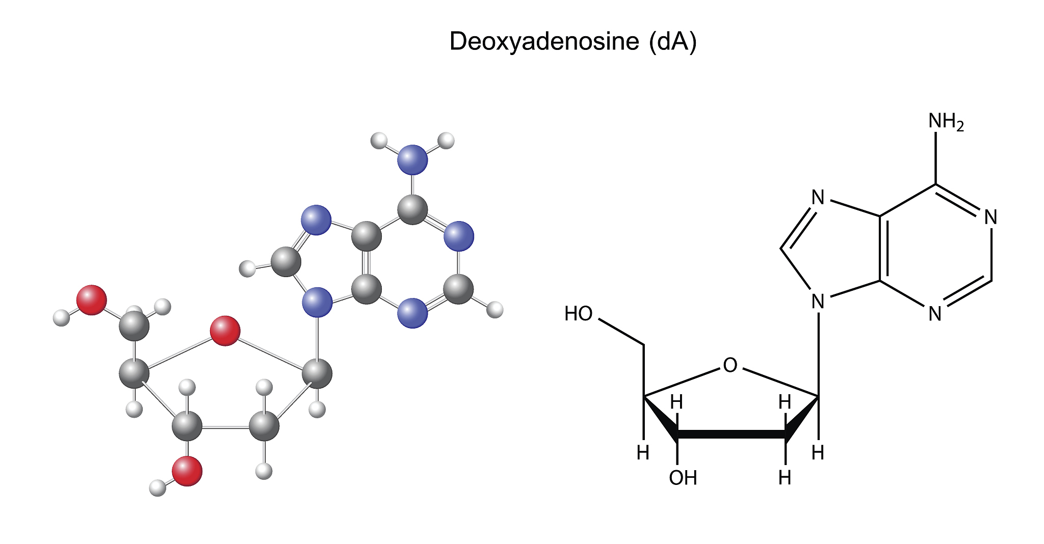 rosetta 的-parserprotocol什么意义