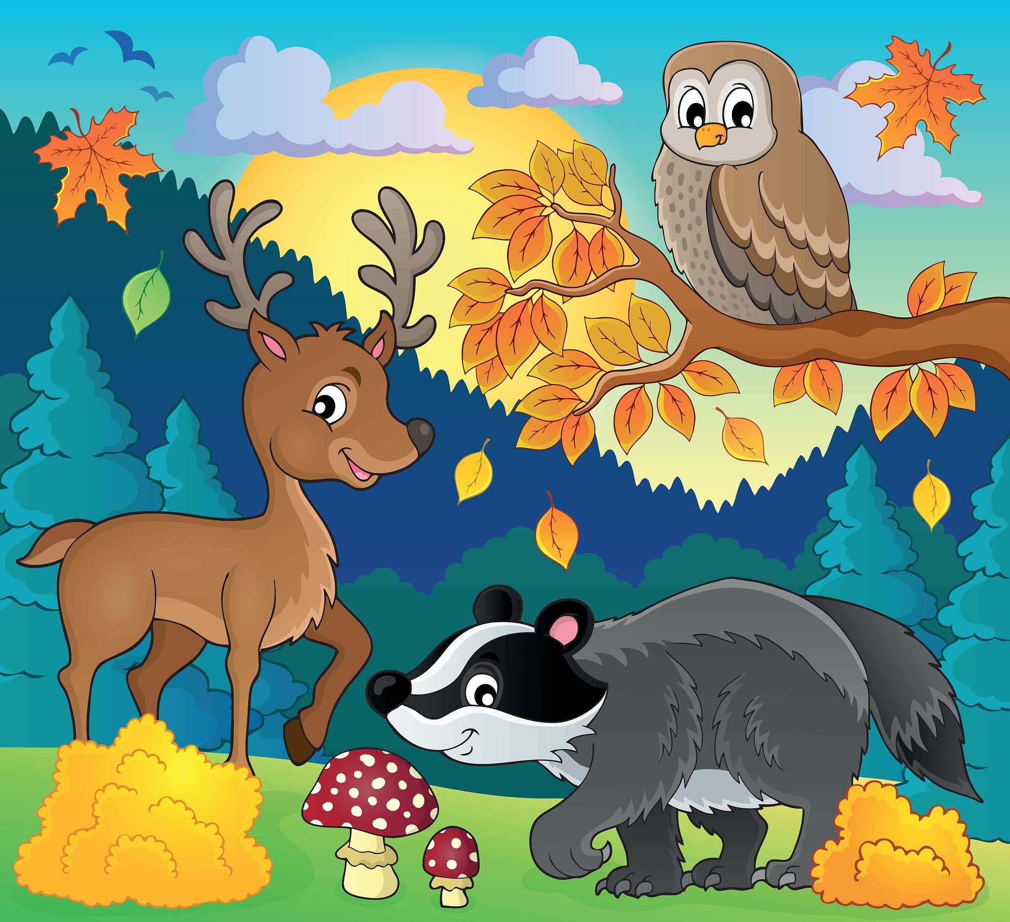 关于动物野营之类的的英文