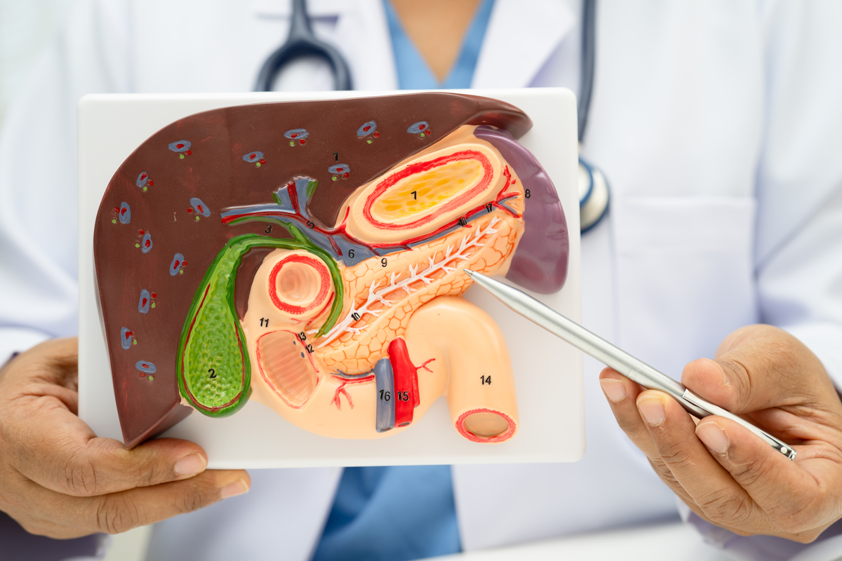 消化系统疾病患者数据分析：肠梗阻、结肠肿瘤、痔疮等常见疾病