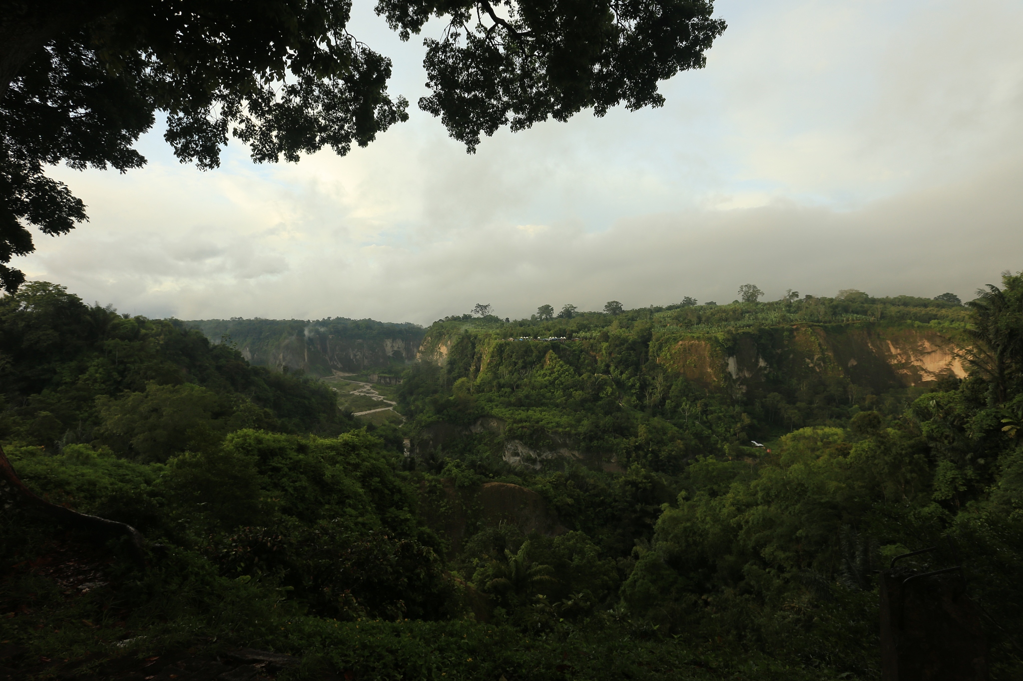 profesi yang membutuhkan orang bertubuh tinggi