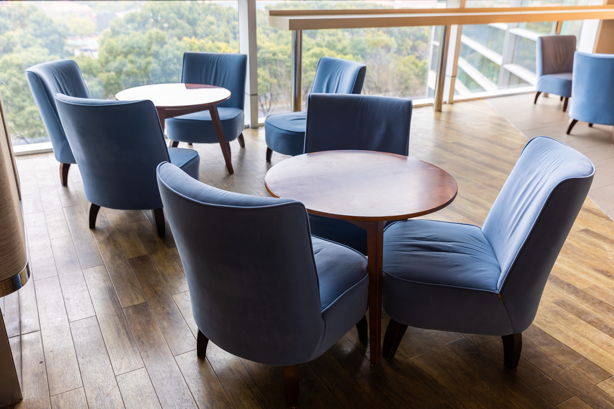 高颜值高性价比餐椅推荐！舒适稳固，强烈种草！