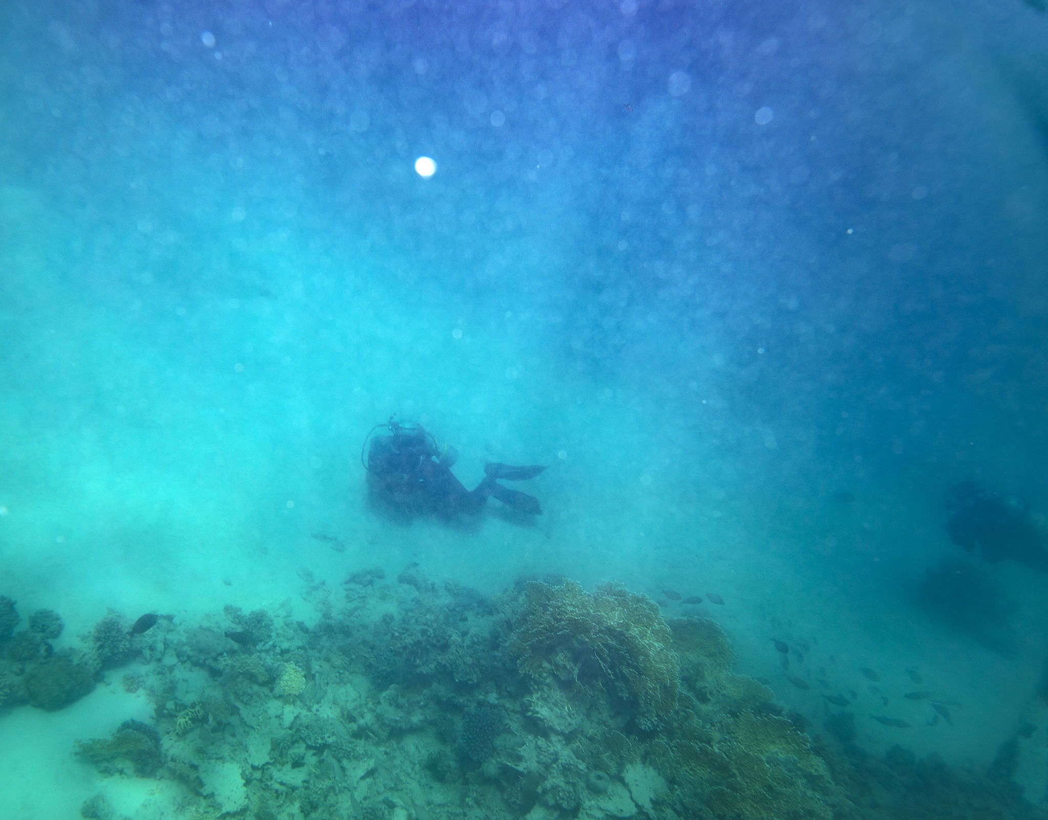 喜欢你们是我的秘密深度就像在海底十万米