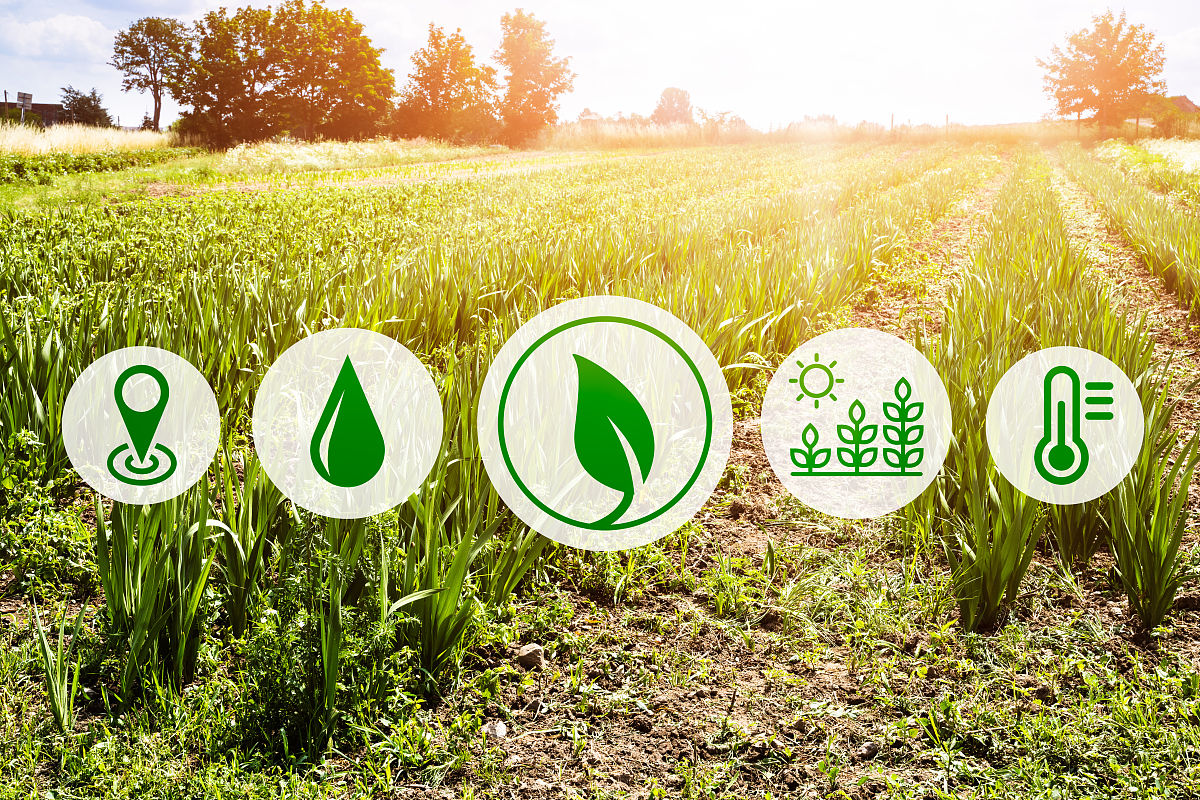 关于农业产业发展的slogan不少于20条