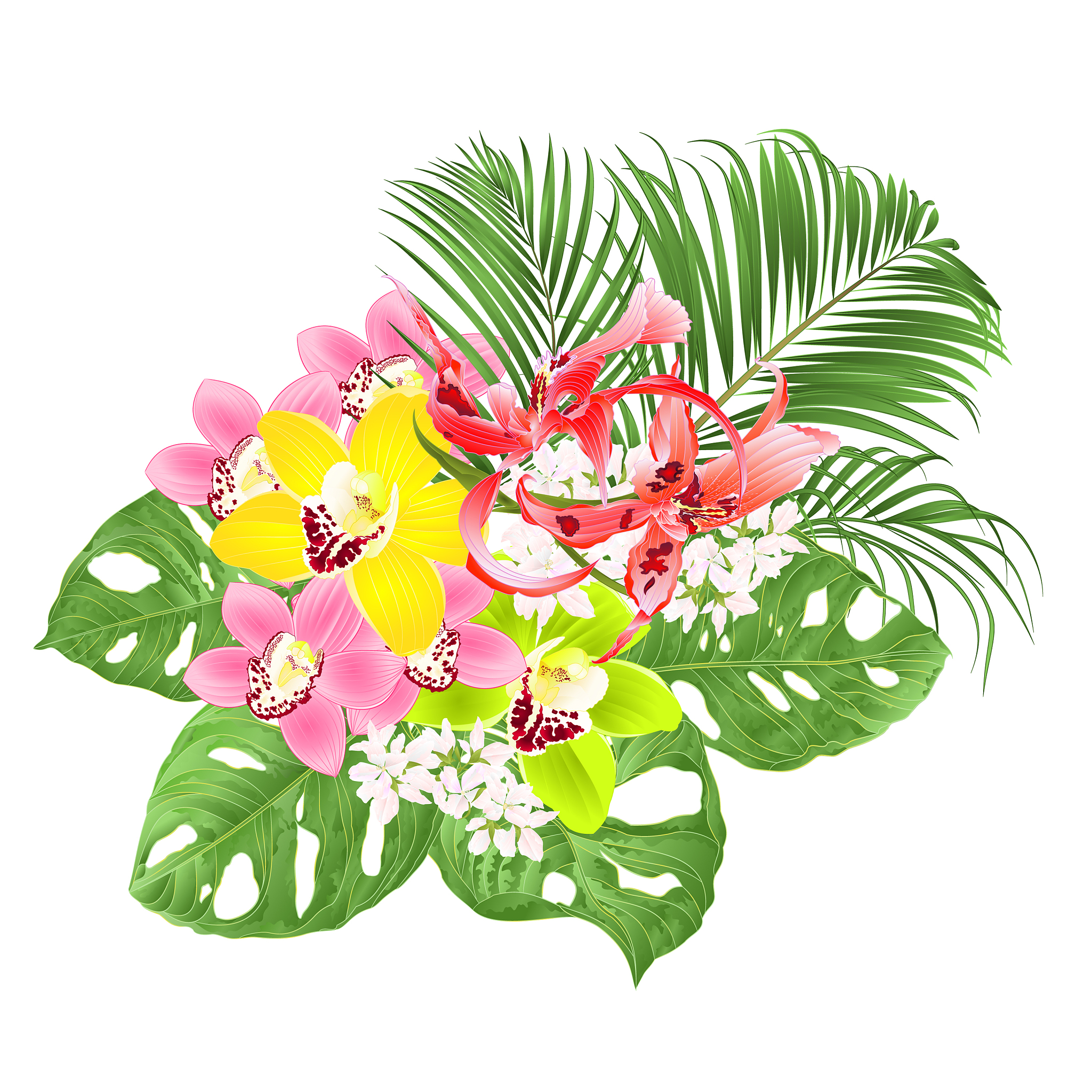 tropical orchids red dendrobium and cymbidium