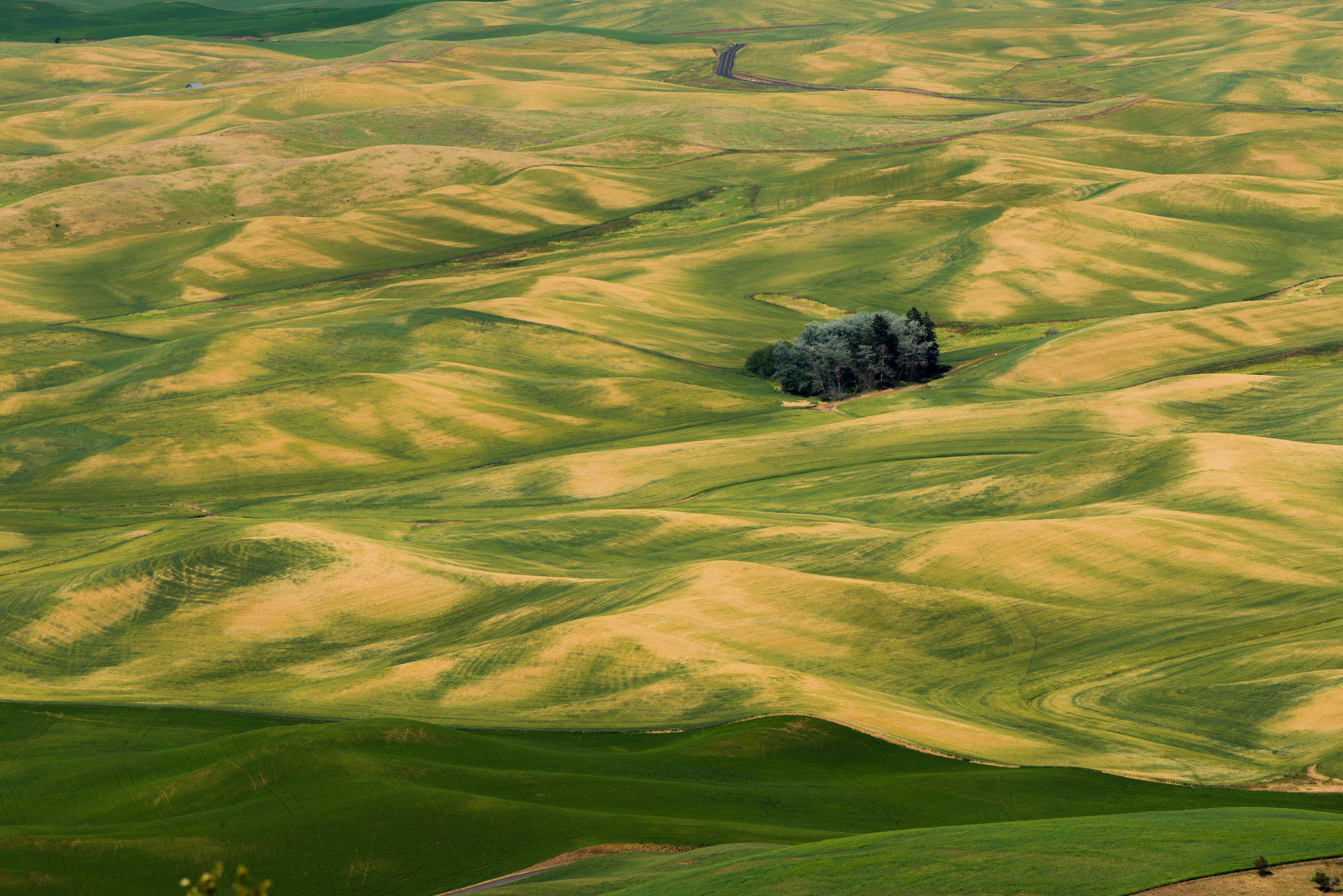 high angle view of agricultural field