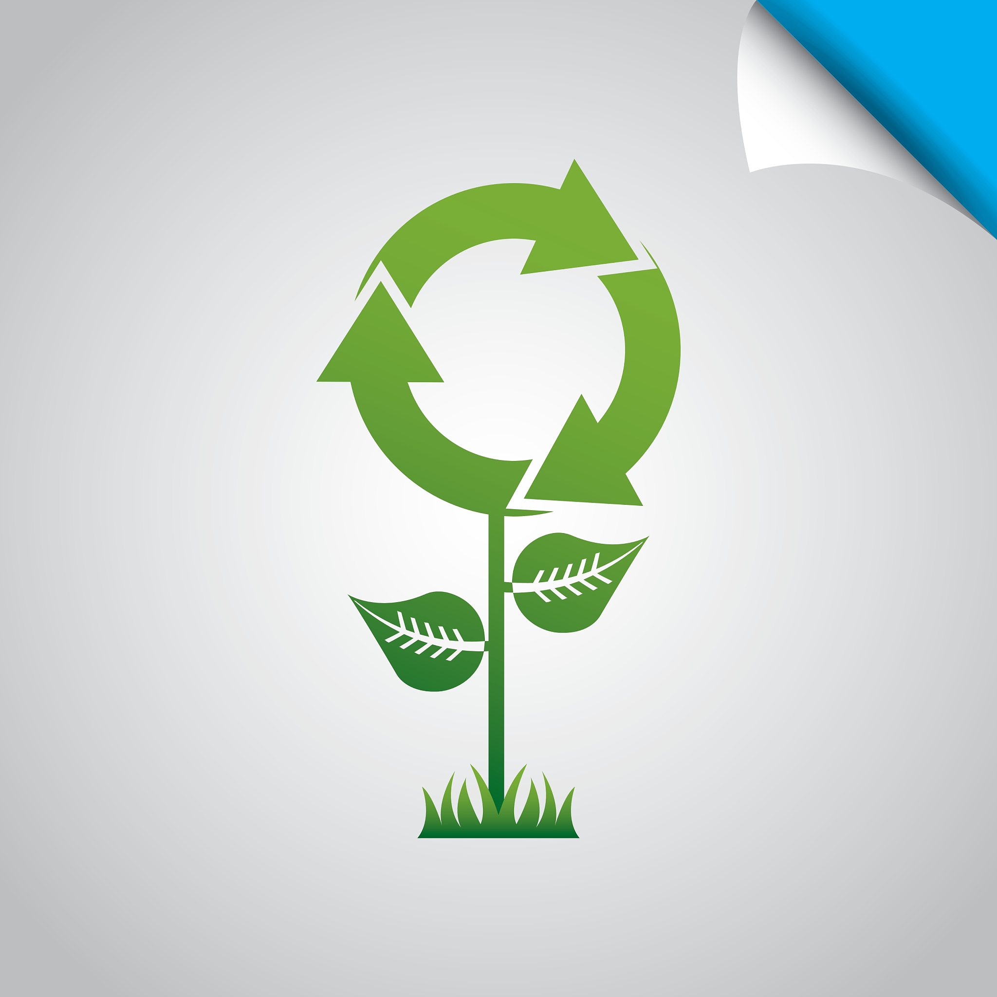 eco friendly design