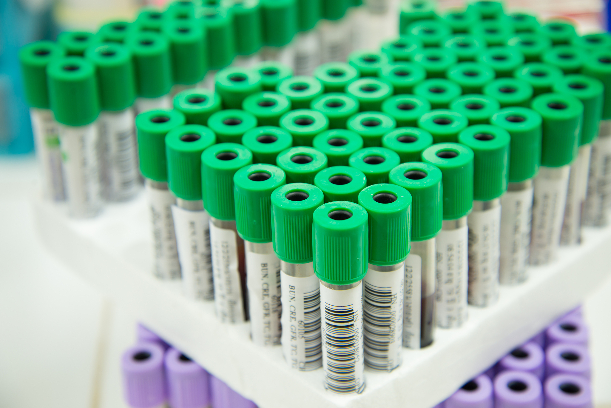 添加微晶纤维素的面包的水分含量结果分析